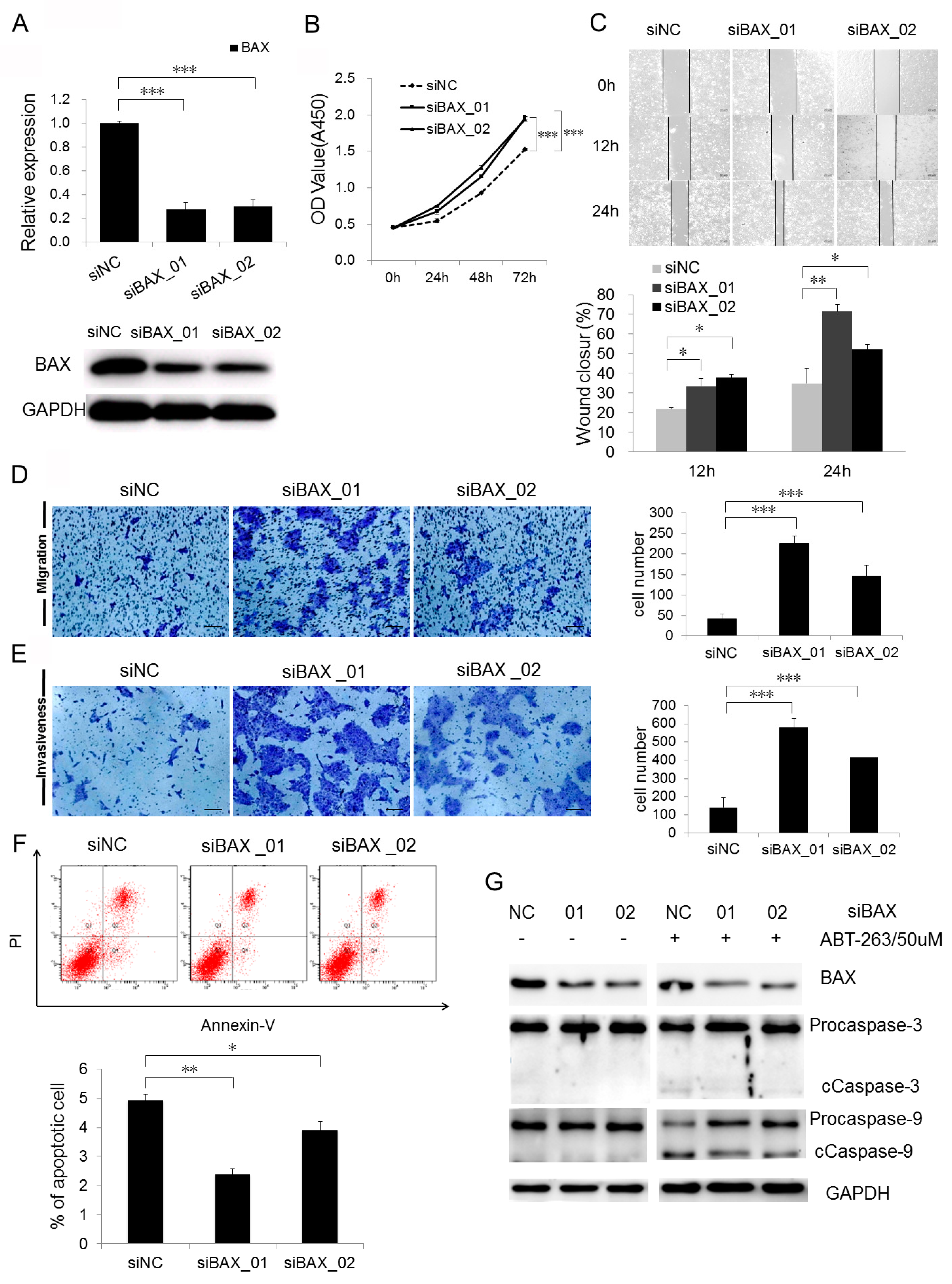 Ijms 18 01157 g003 550