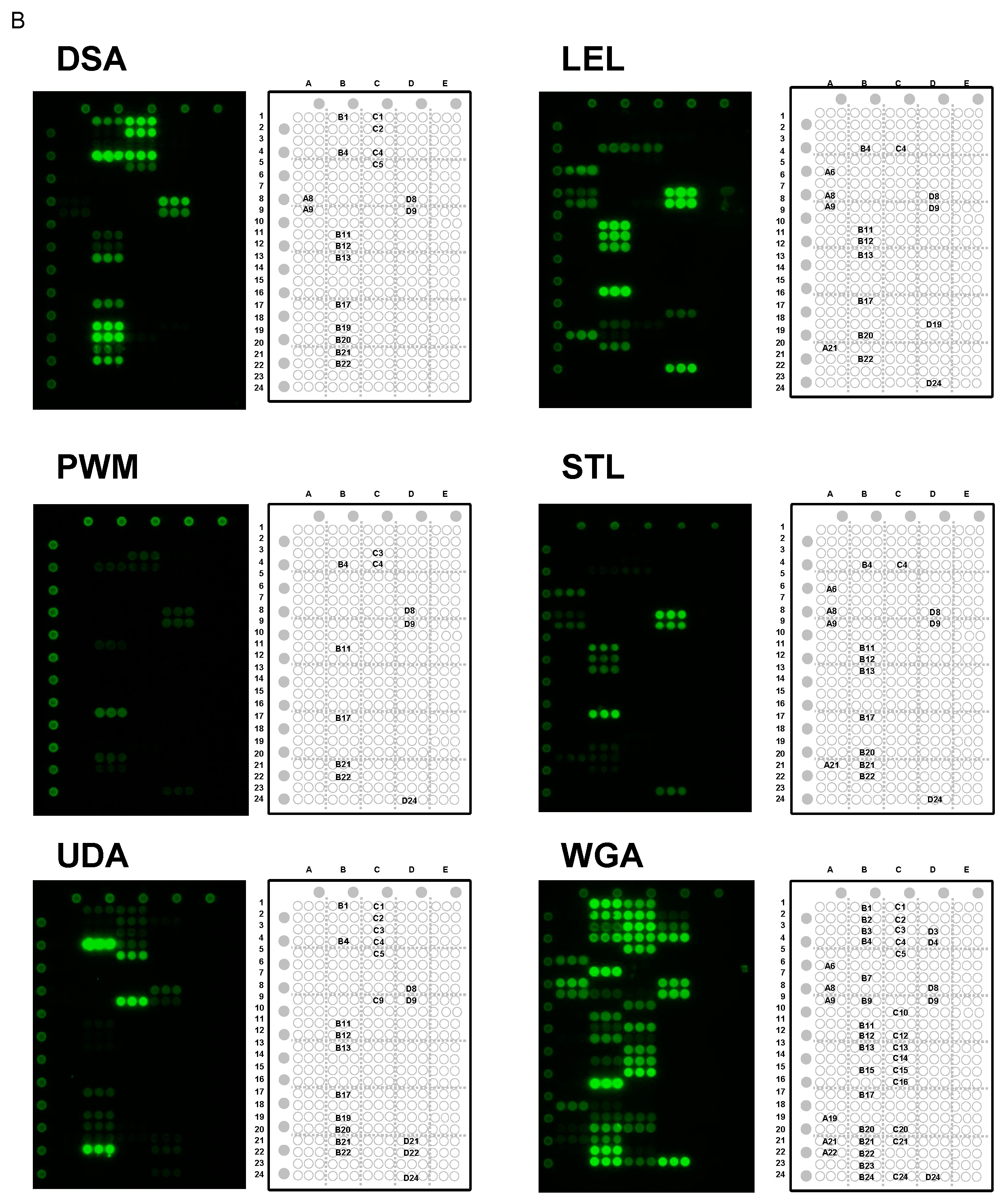Ijms 18 01160 g007b 550