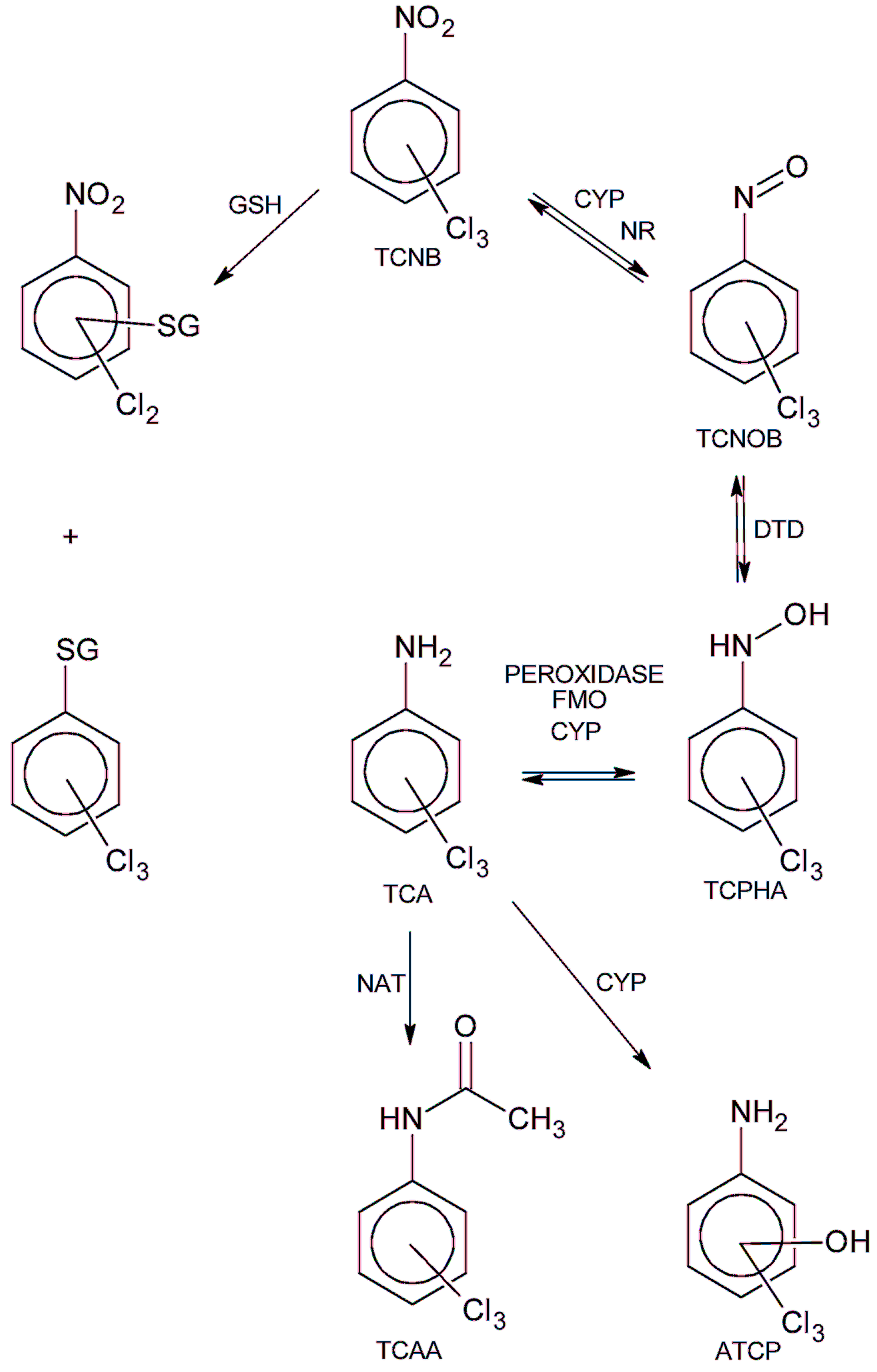 Ijms 18 01165 g008 550