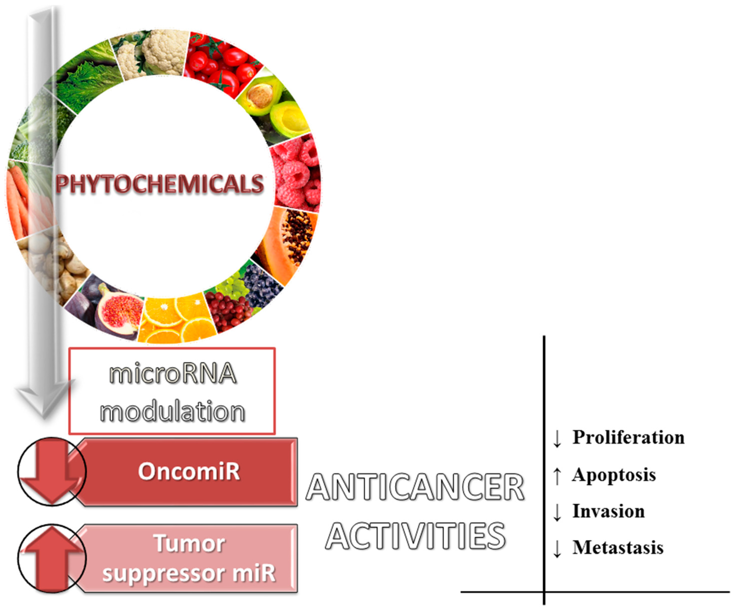 Ijms 18 01178 g003 550