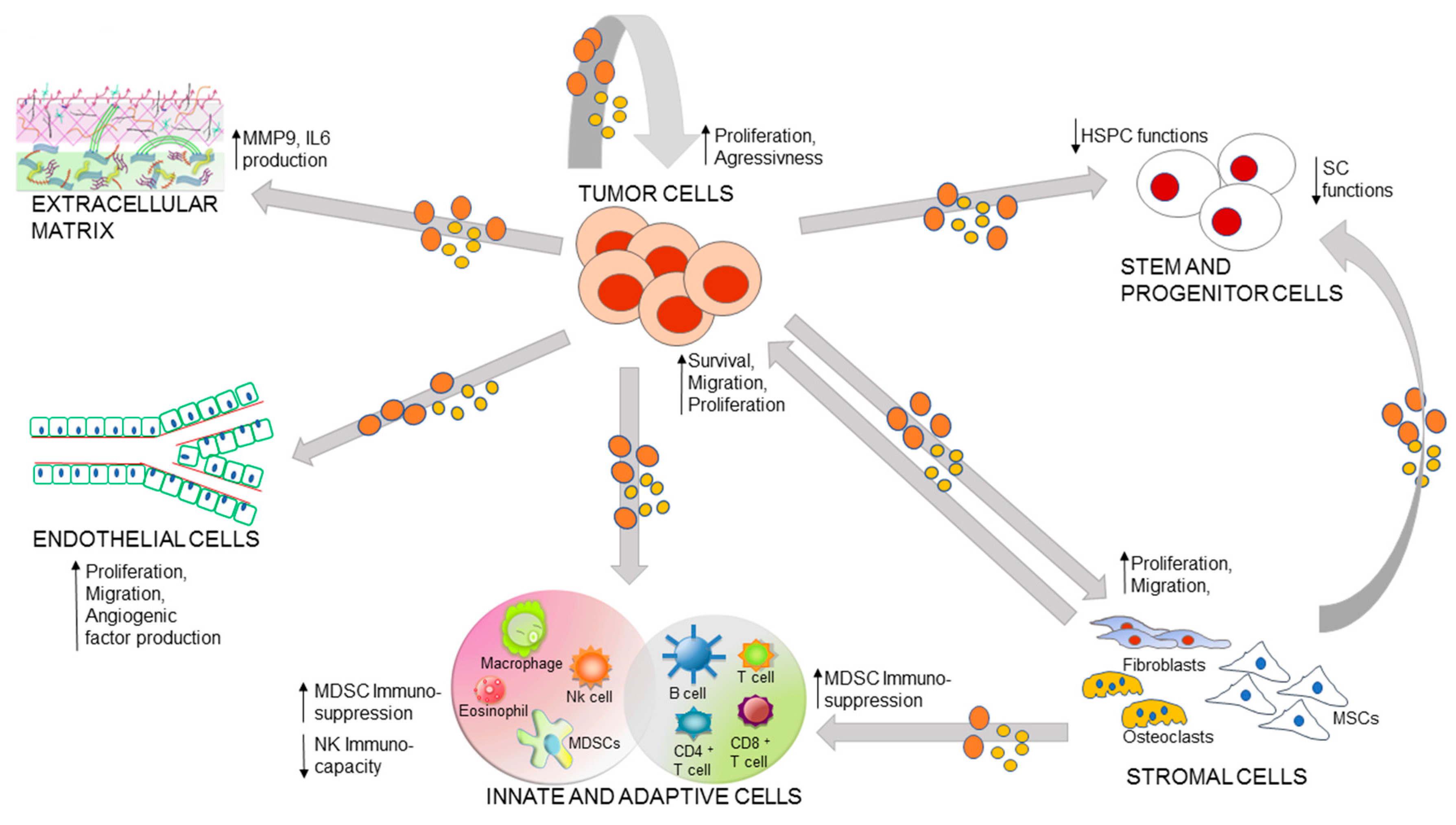 Ijms 18 01183 g001 550
