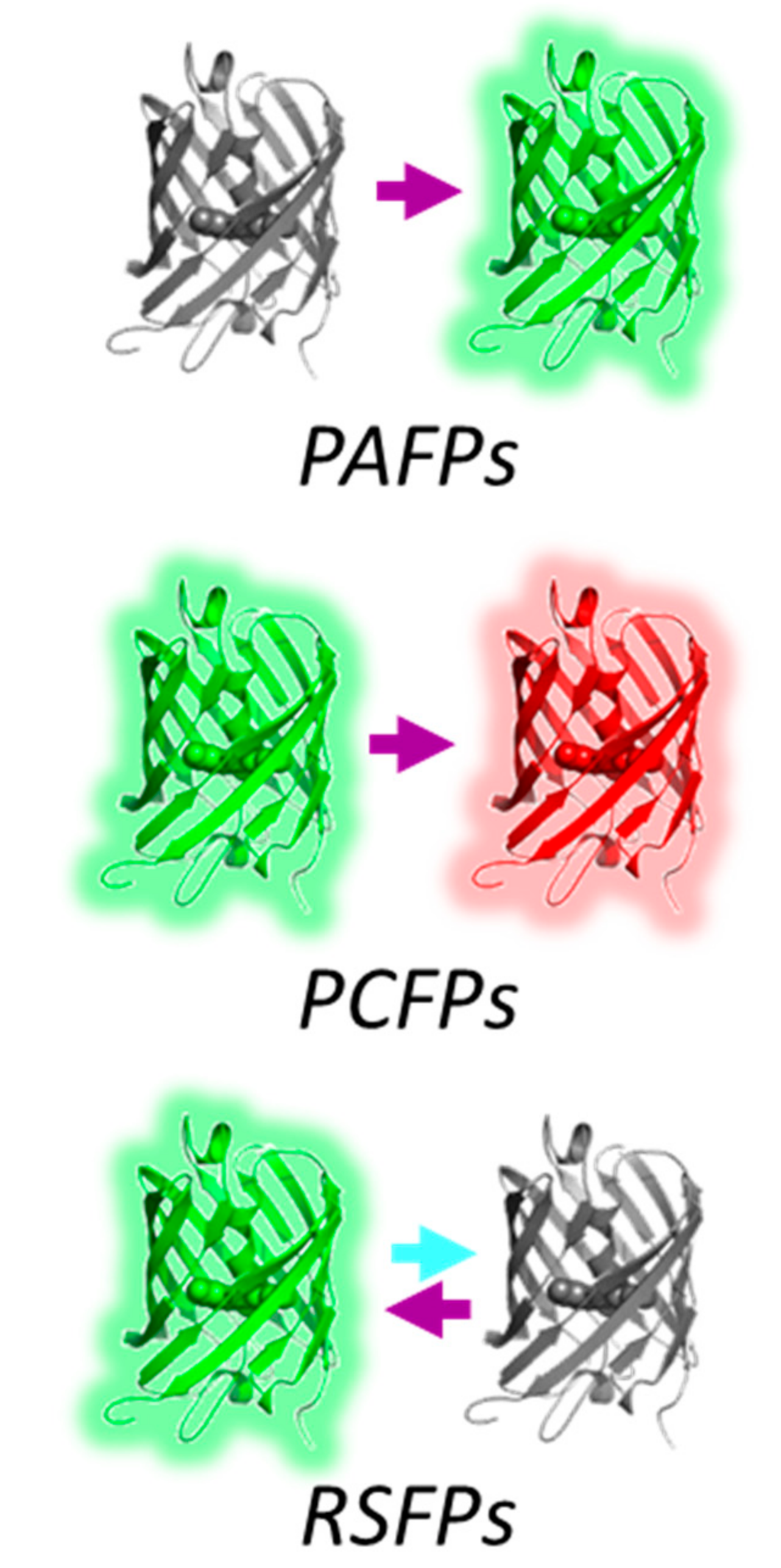 Ijms 18 01187 g001 550