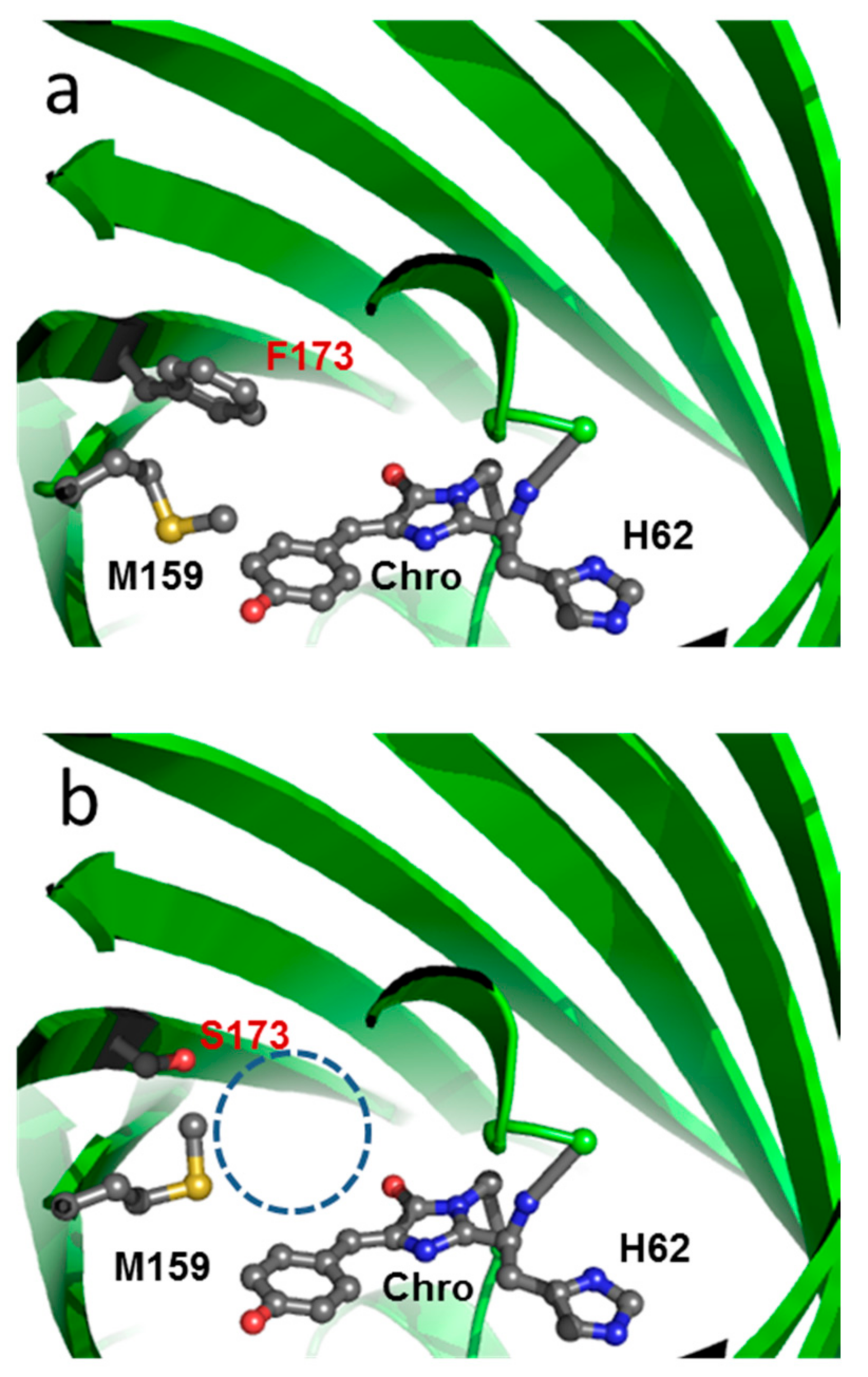 Ijms 18 01187 g003a 550