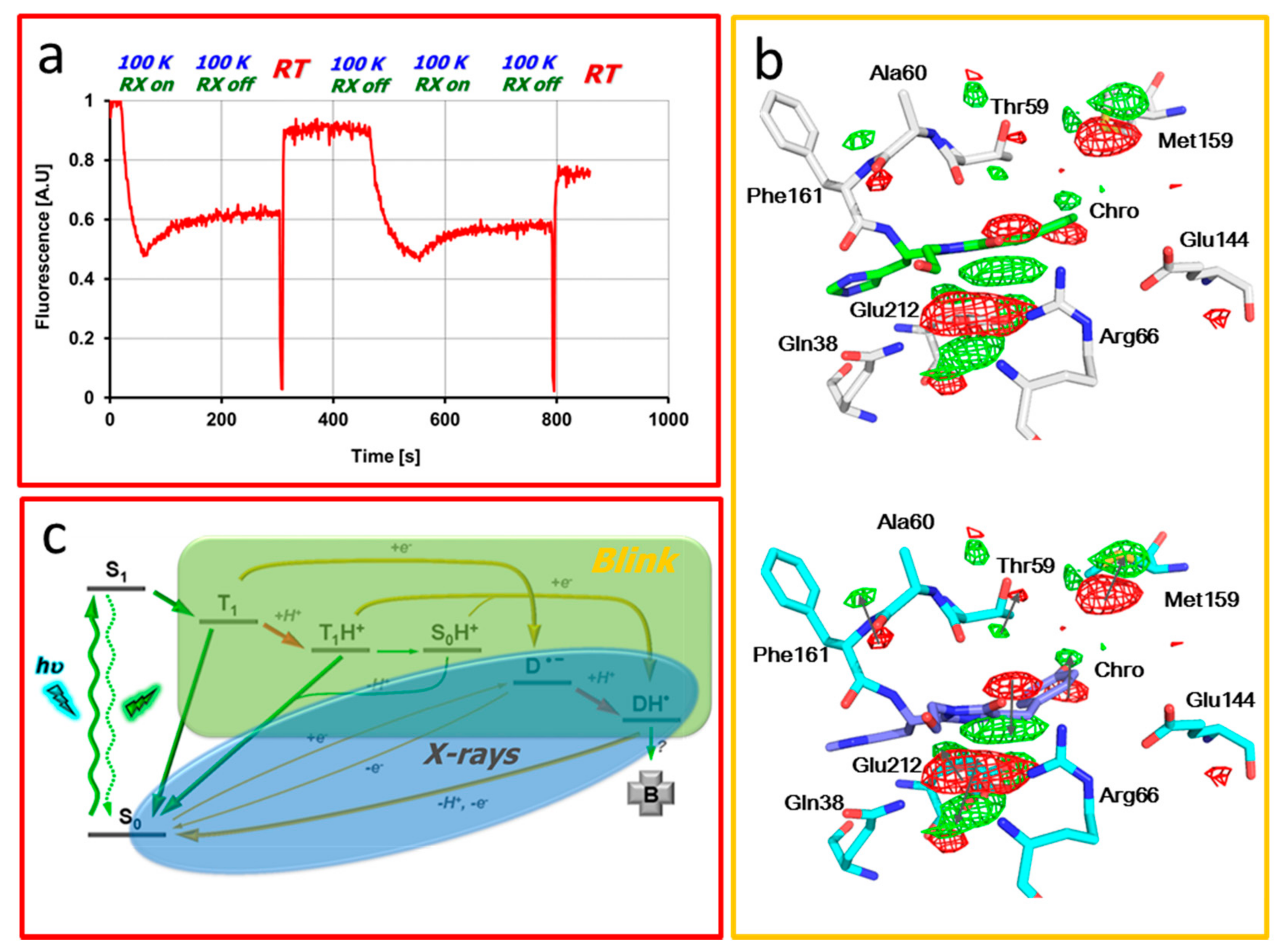 Ijms 18 01187 g008 550