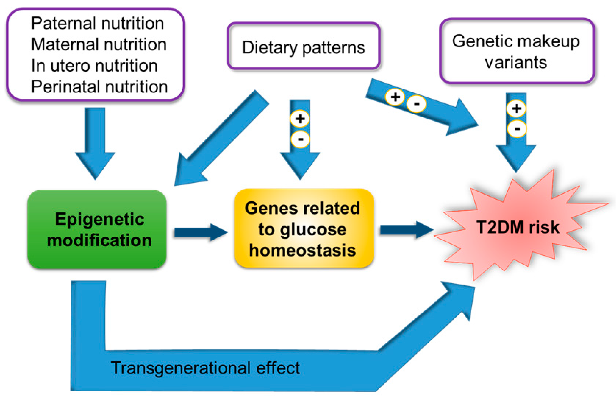 Ijms Free Full Text Gene Diet Interactions In Type 2 Diabetes