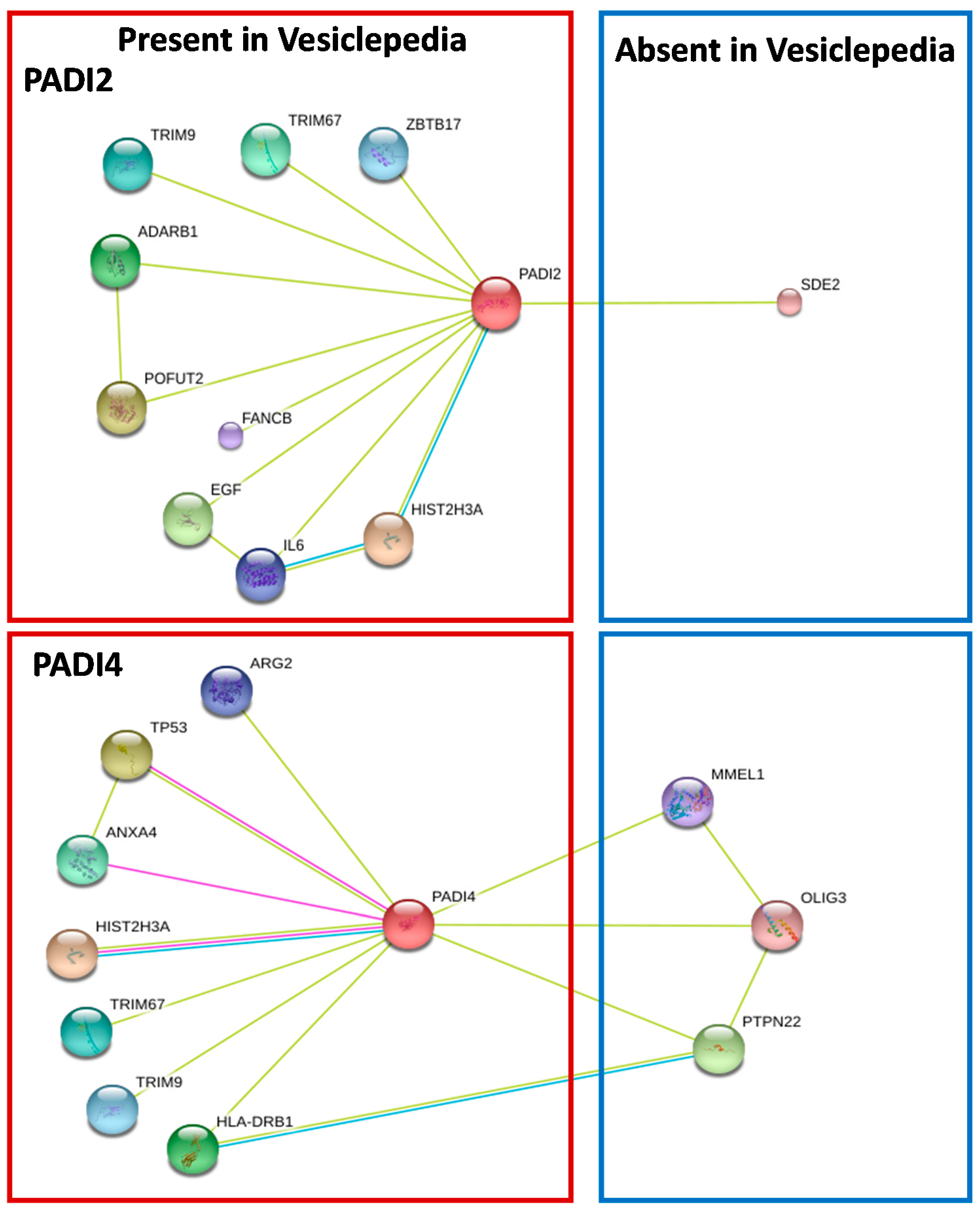 Ijms 18 01196 g001 550