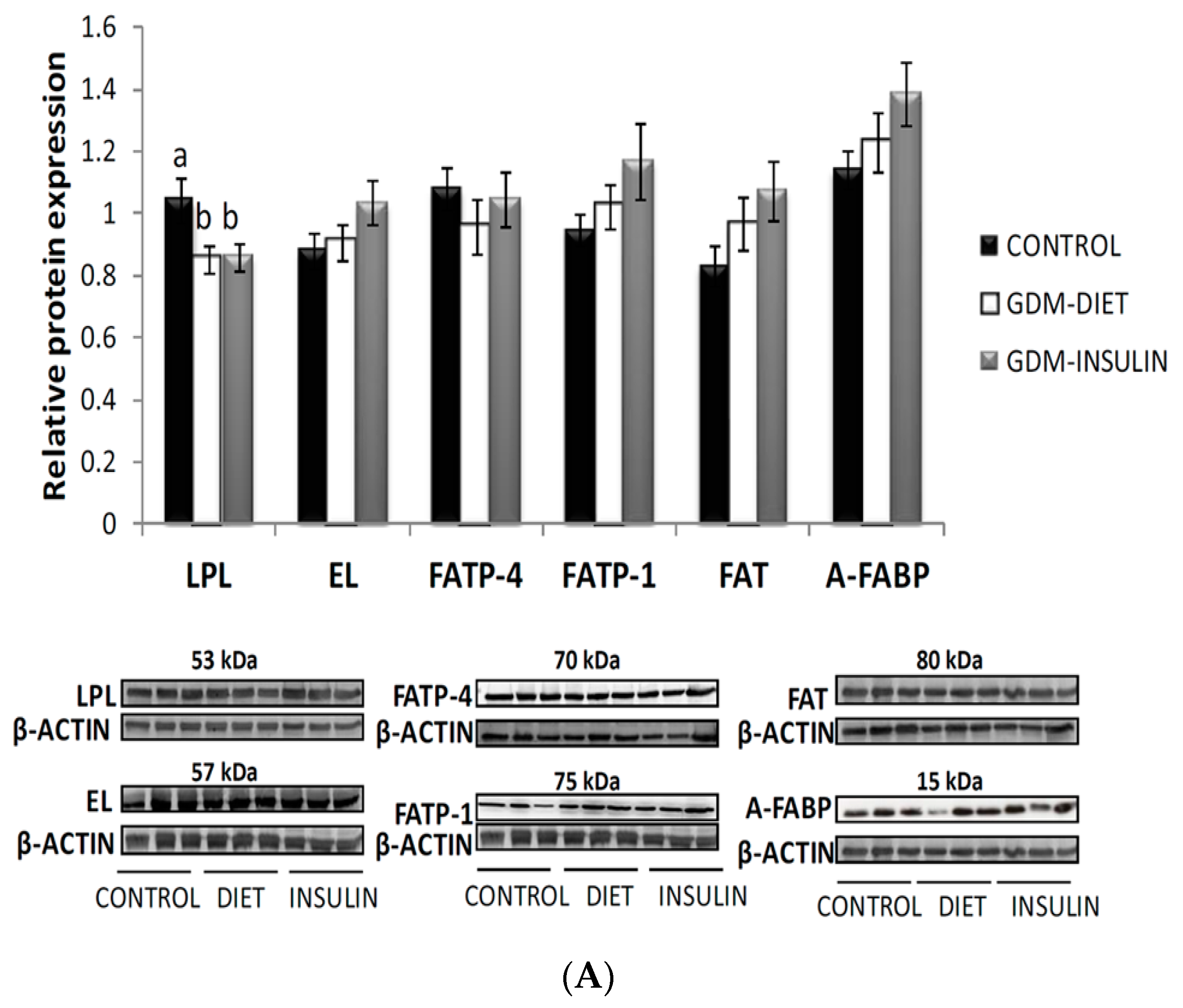 Ijms 18 01203 g001a 550
