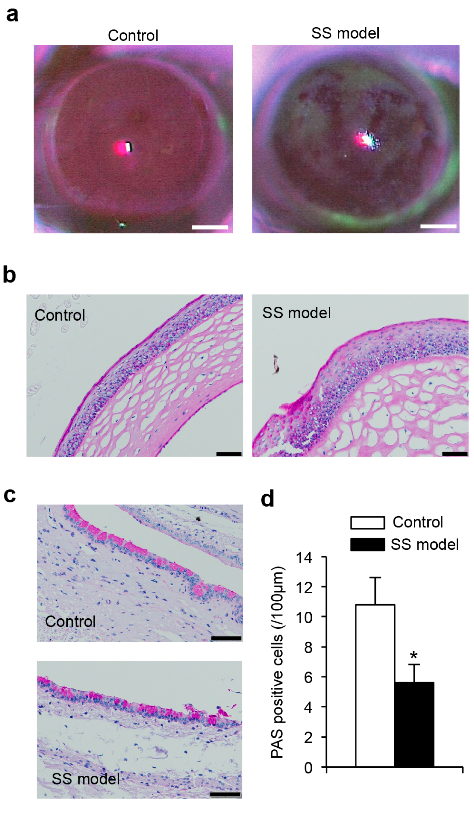 Ijms 18 01209 g002 550