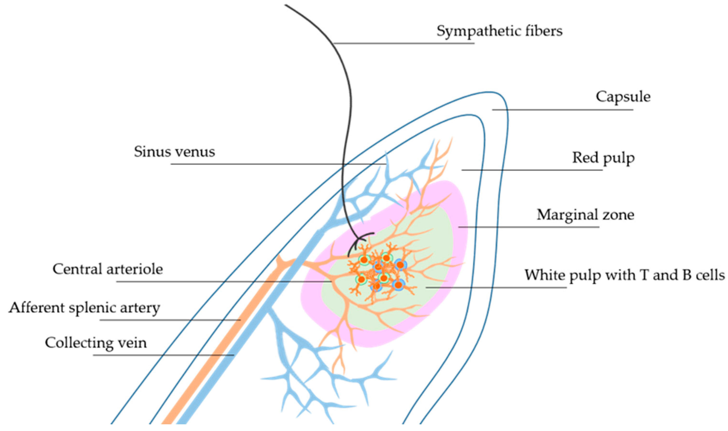 Ijms 18 01216 g001 550