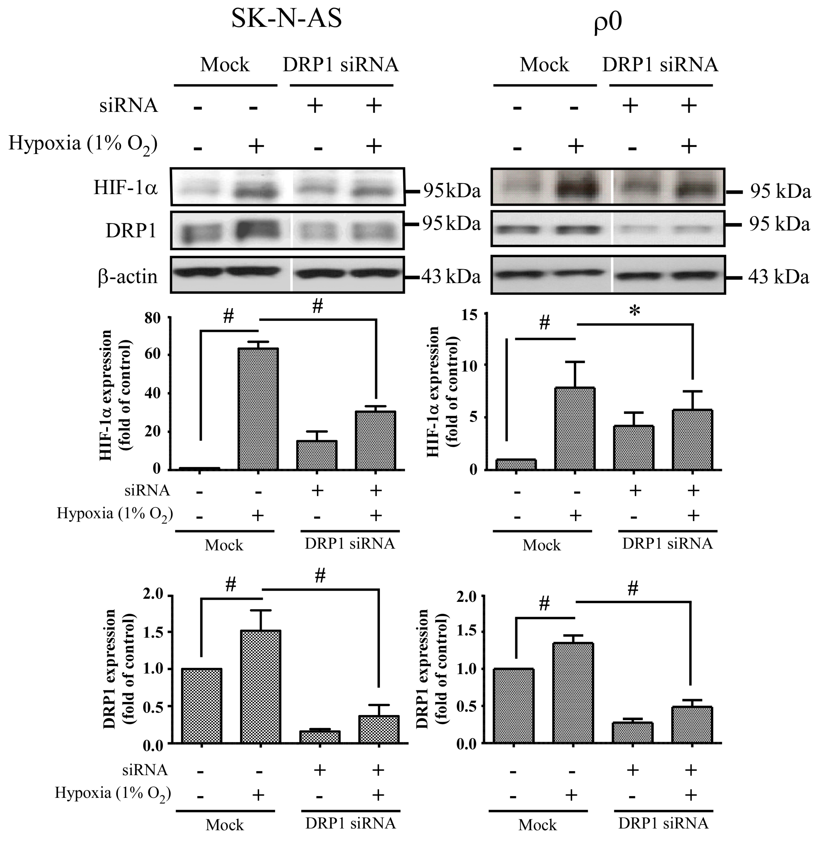 Ijms 18 01220 g008 550