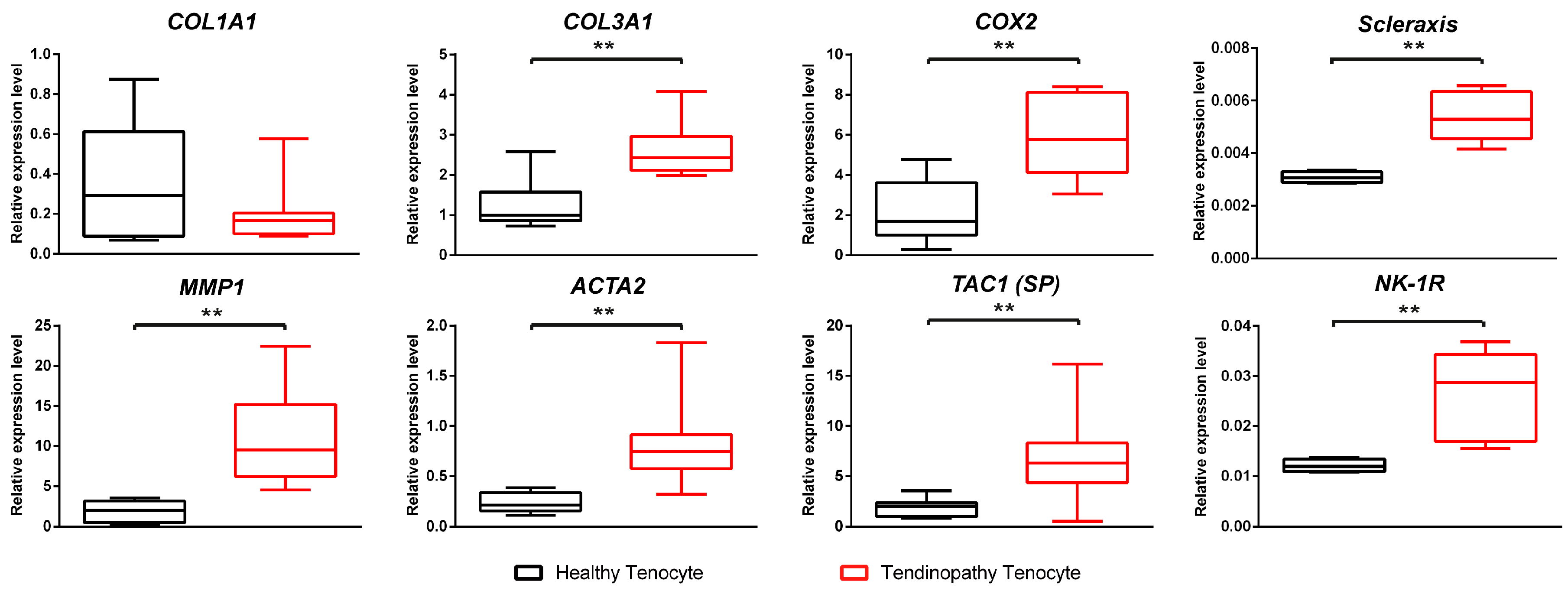 Ijms 18 01241 g002 550