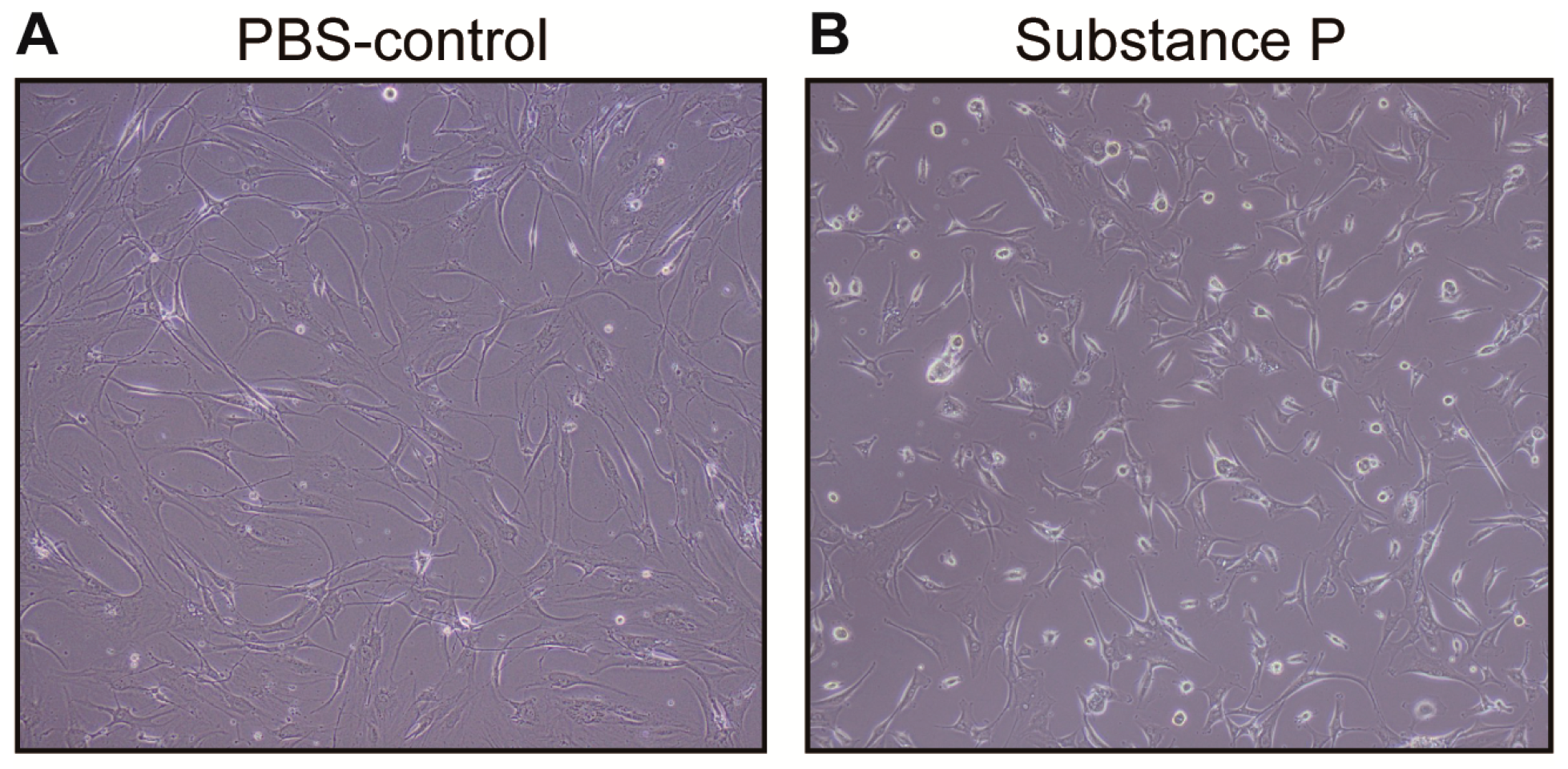 Ijms 18 01241 g003 550