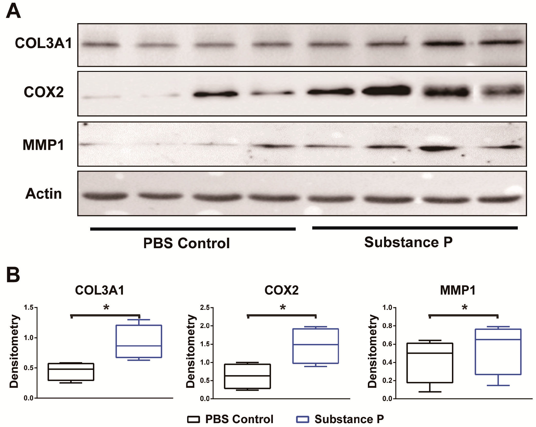 Ijms 18 01241 g006 550