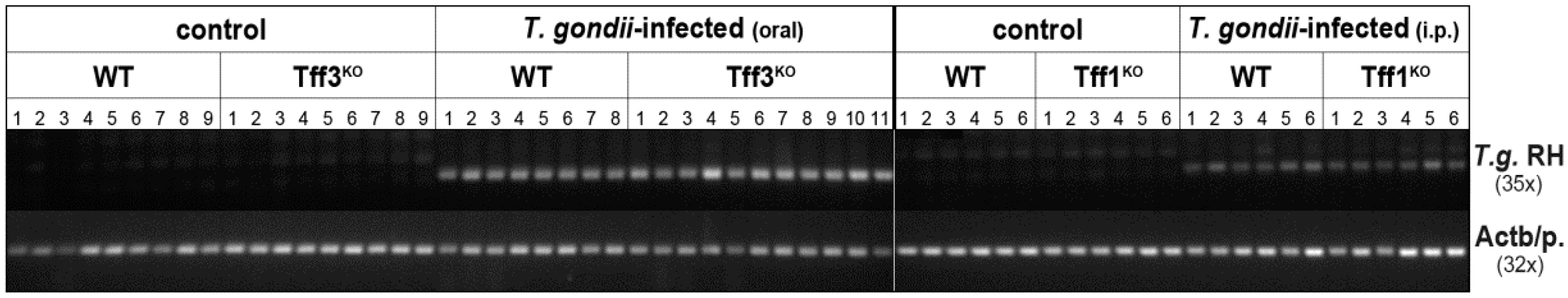 Ijms 18 01245 g003 550