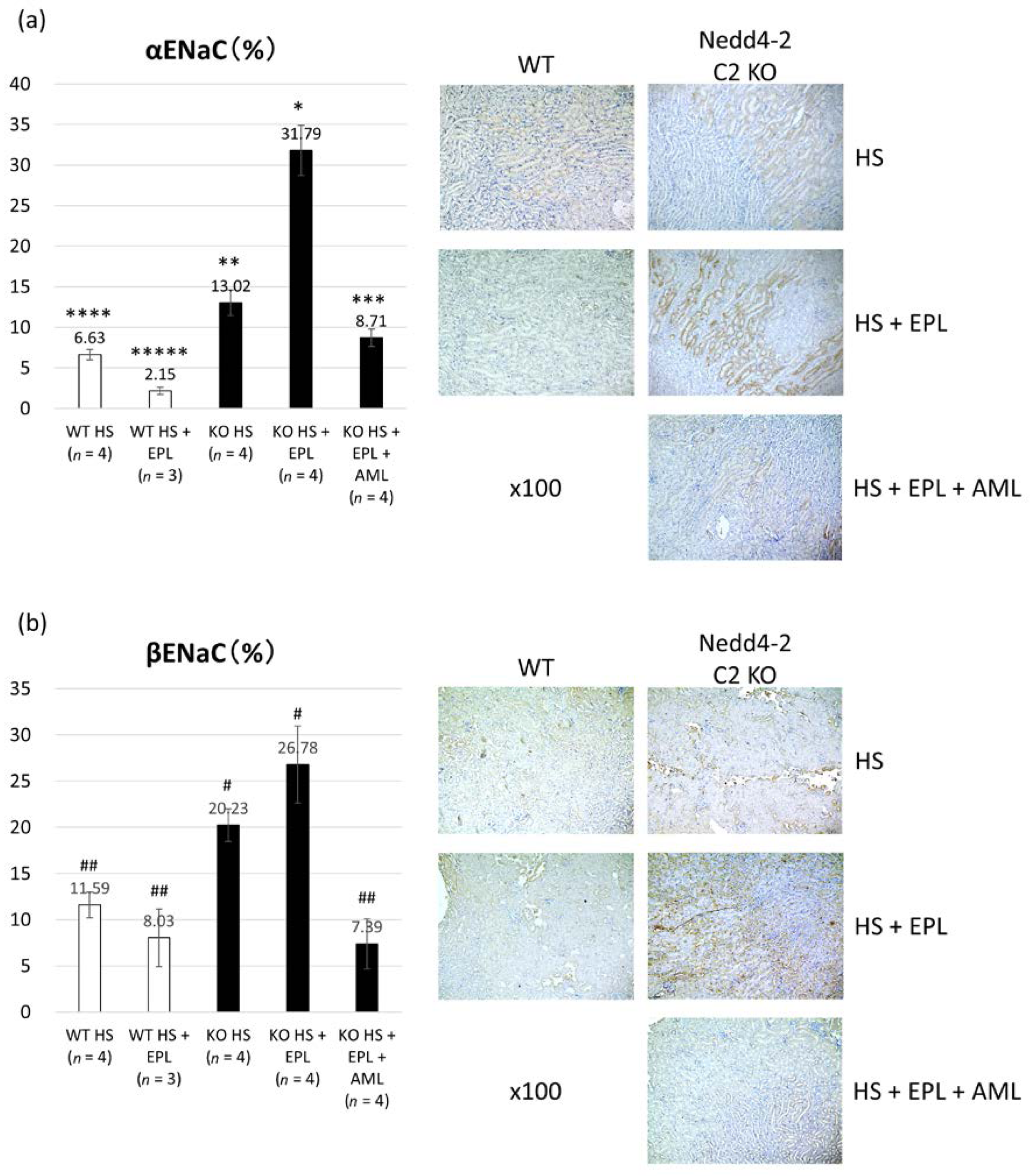 Ijms 18 01250 g005a 550