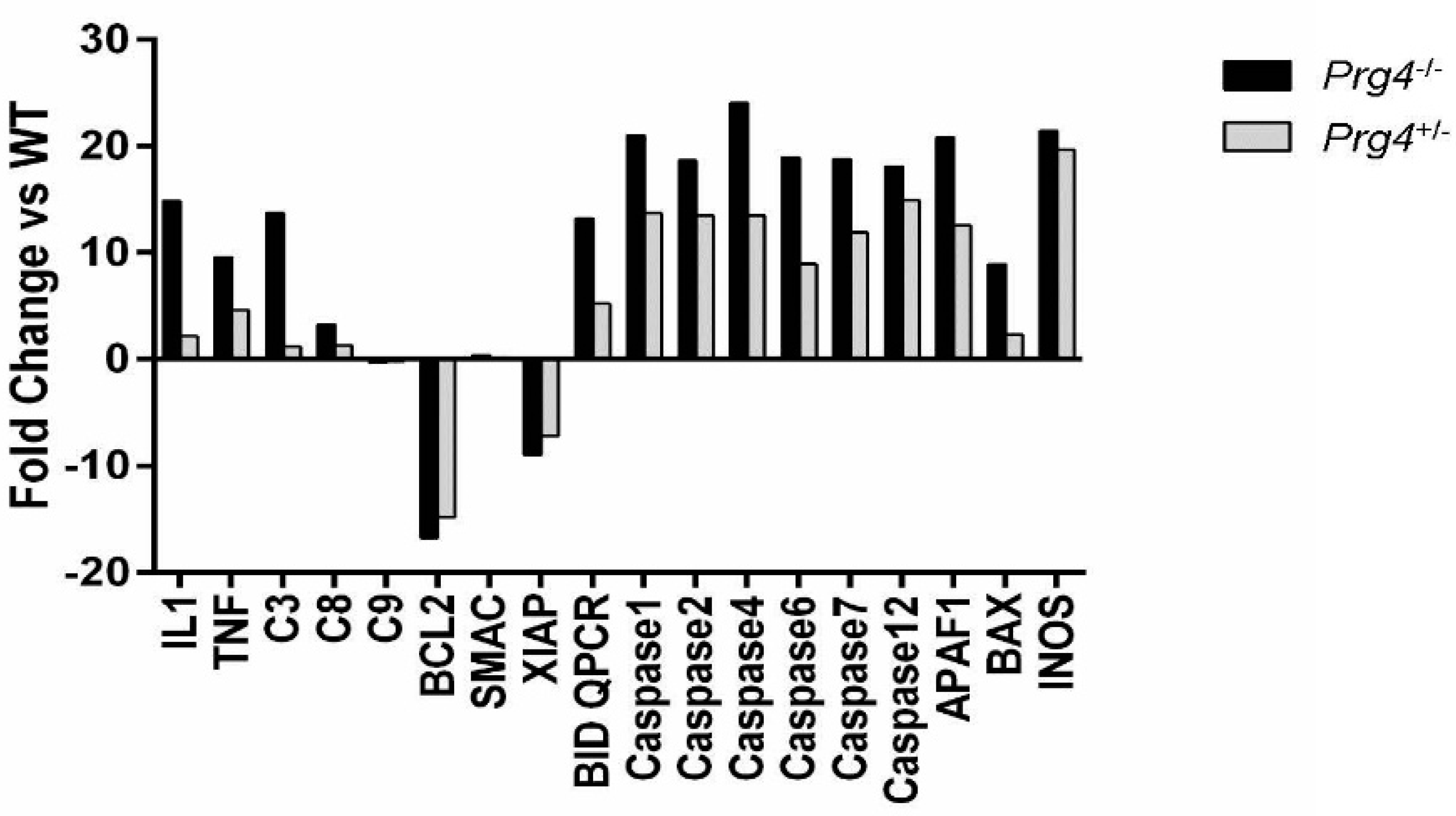Ijms 18 01252 g003 550