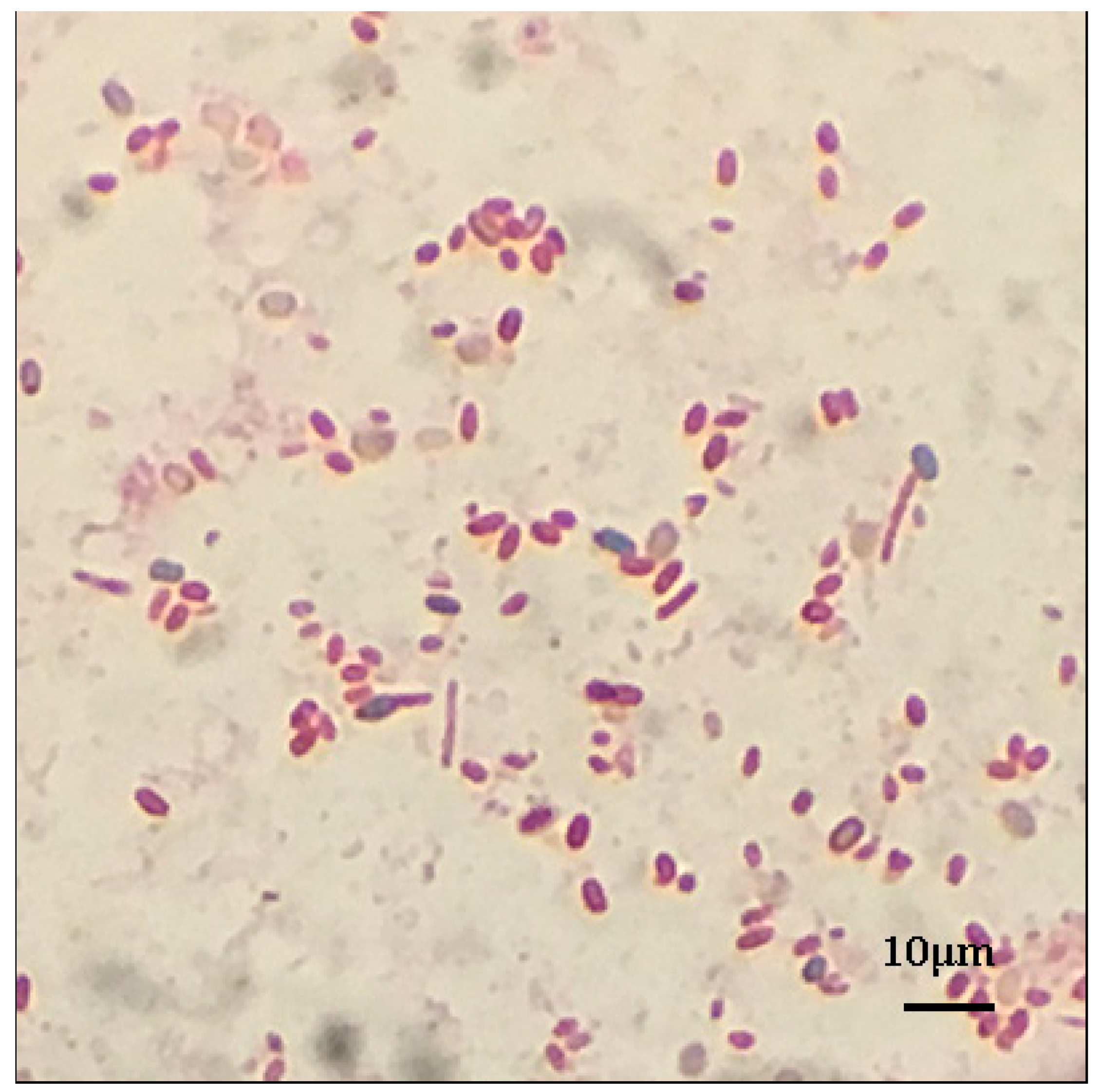 Ijms 18 01253 g001 550