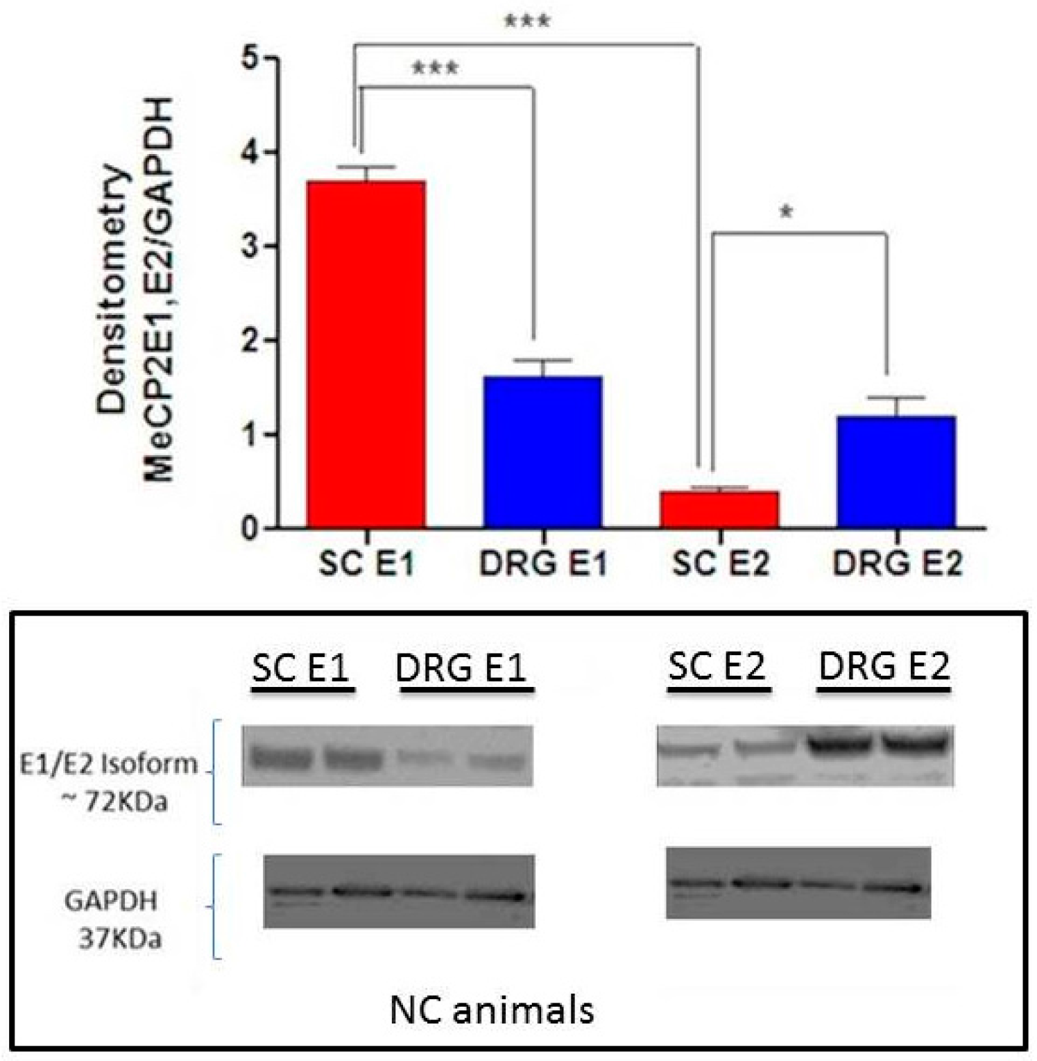Ijms 18 01254 g007 550