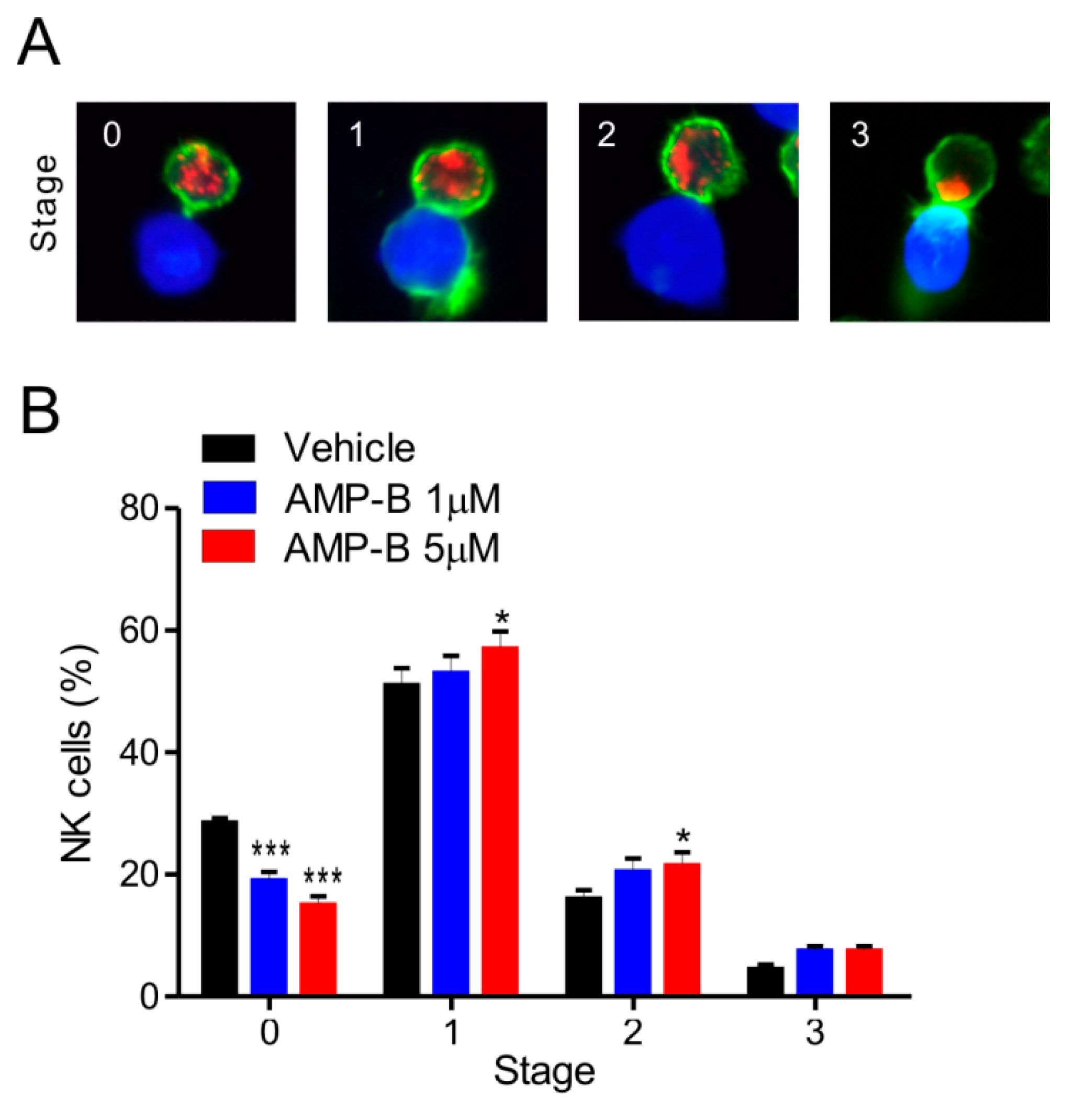Ijms 18 01262 g004 550