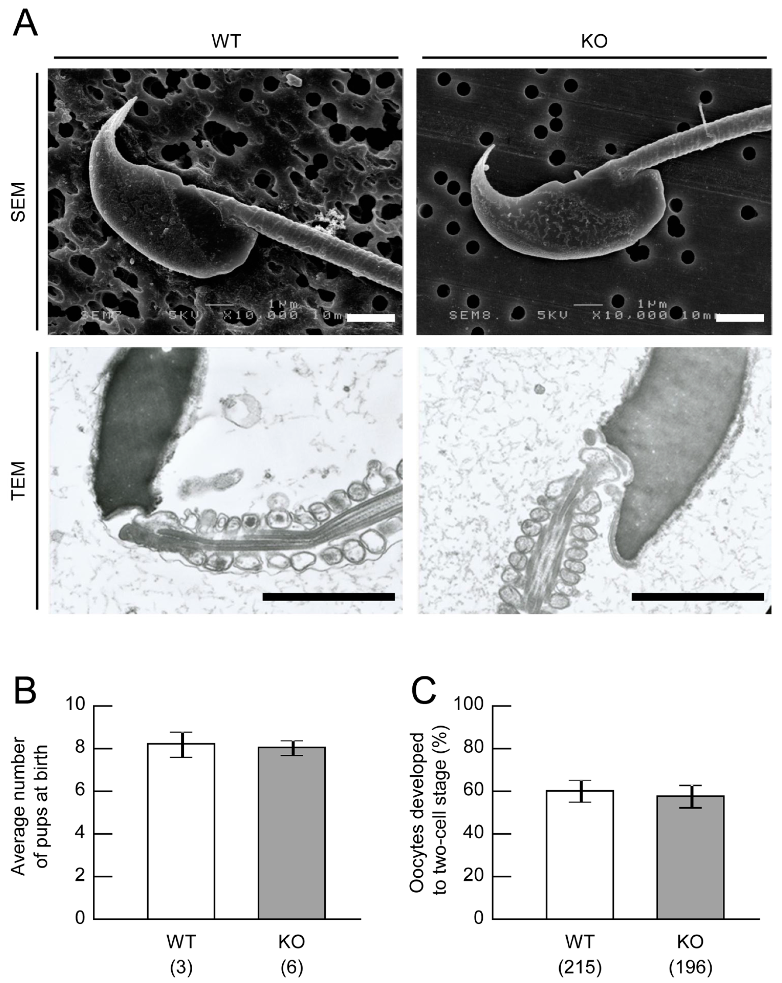 Ijms 18 01300 g002
