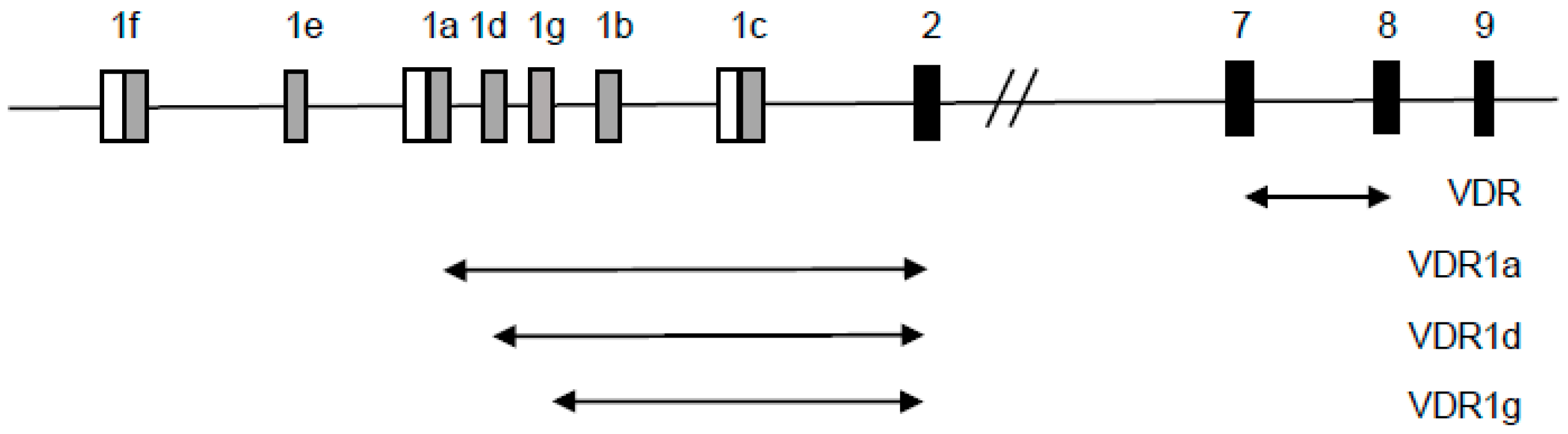 Ijms 18 01323 g008