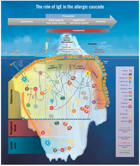 The King of the Hill Iceberg Explained Part 2 