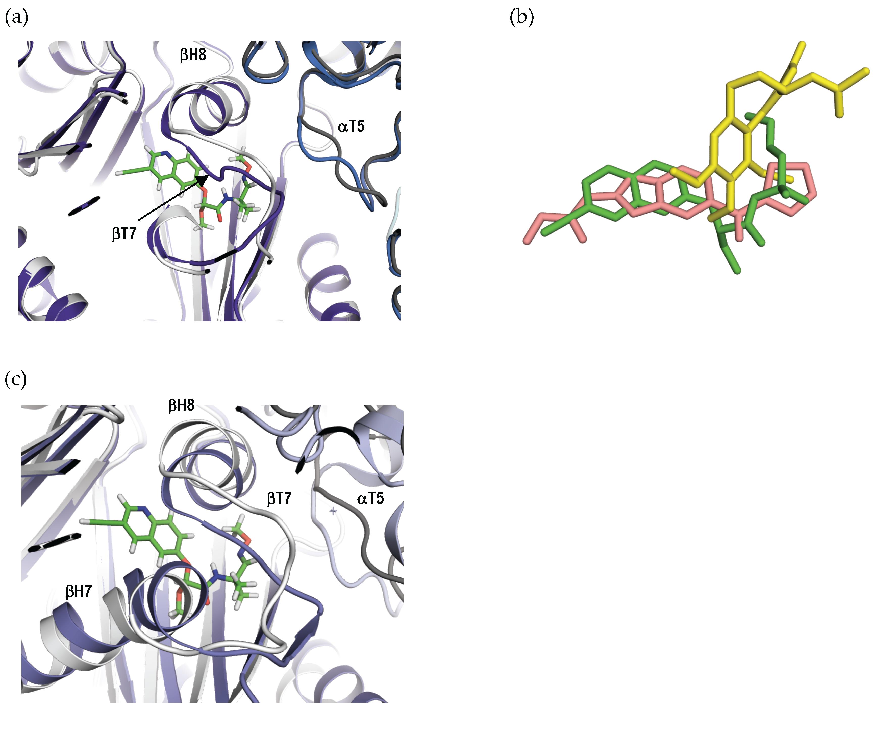 Ijms 18 01336 g006 550