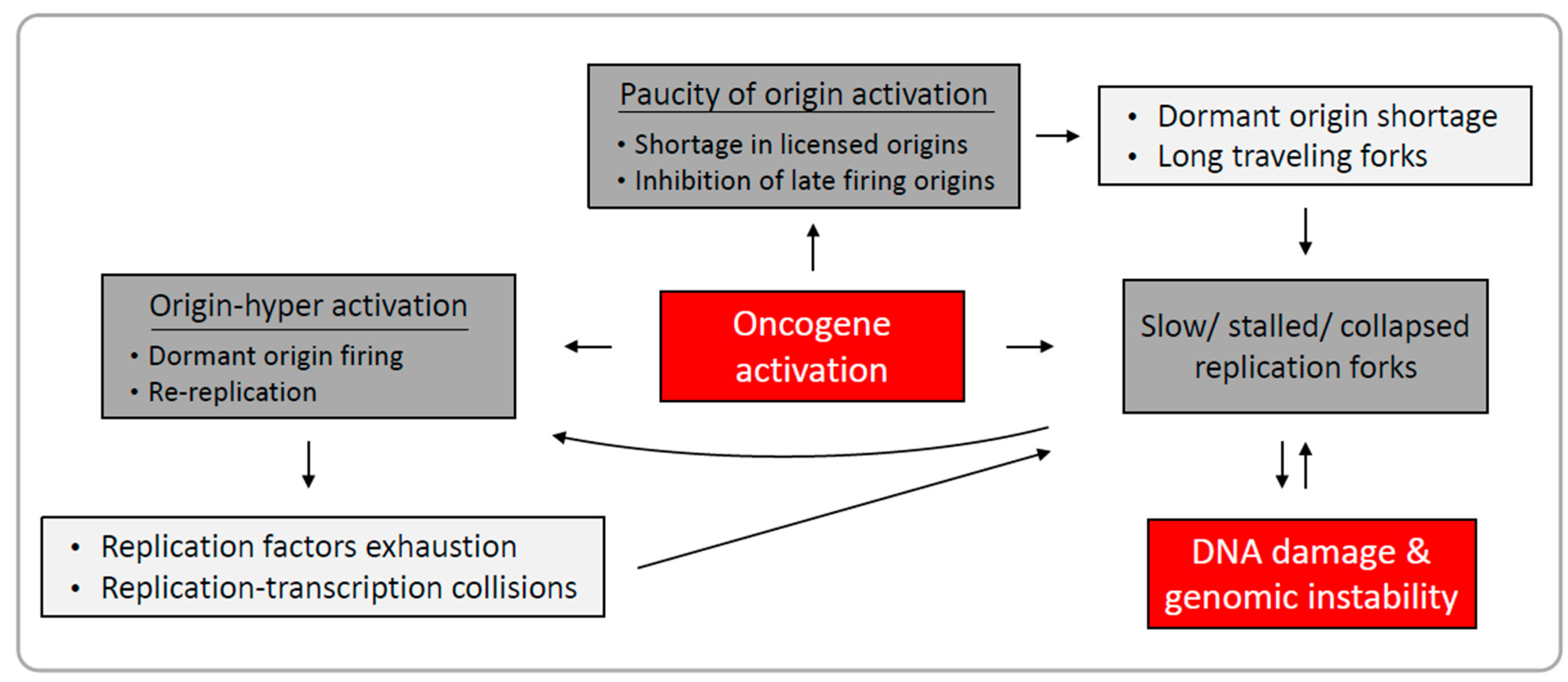 Ijms 18 01339 g001 550