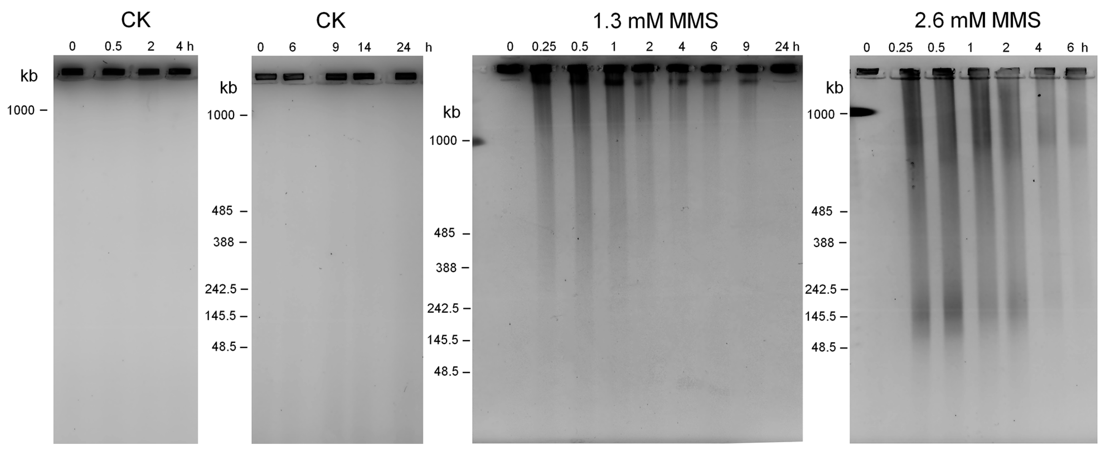 Ijms 18 01340 g002 550