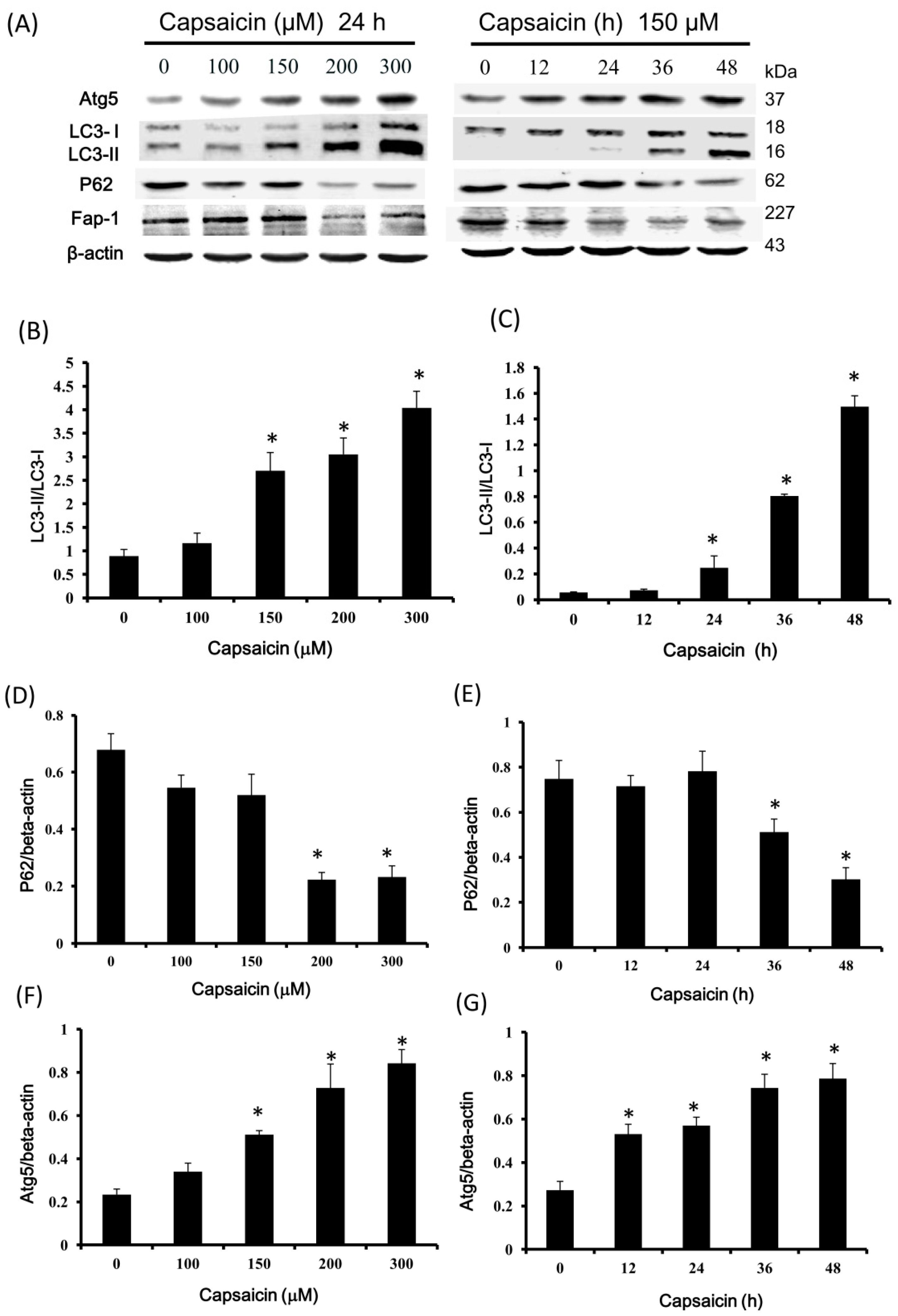 Ijms 18 01343 g004a 550
