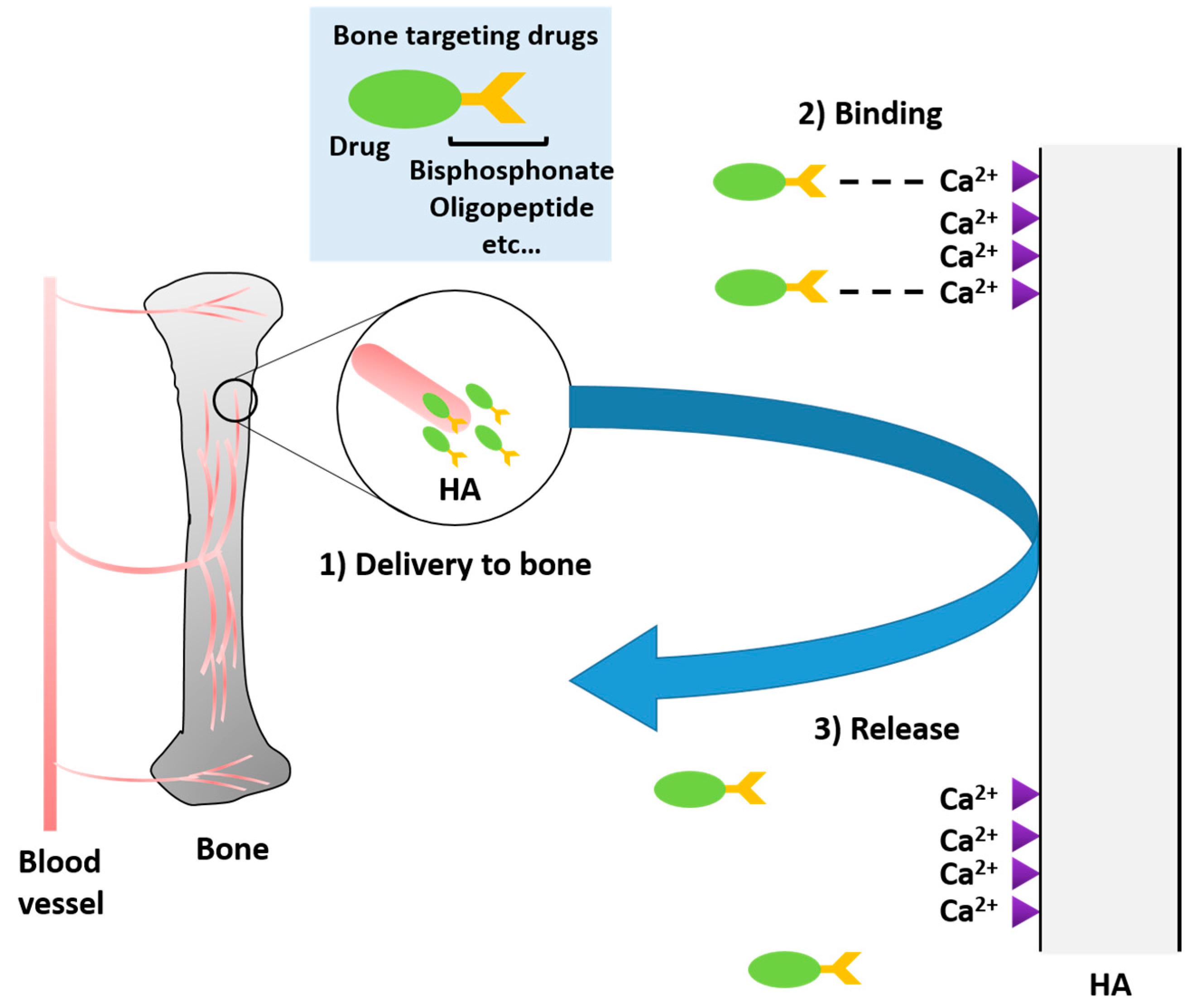 Ijms 18 01345 g001 550
