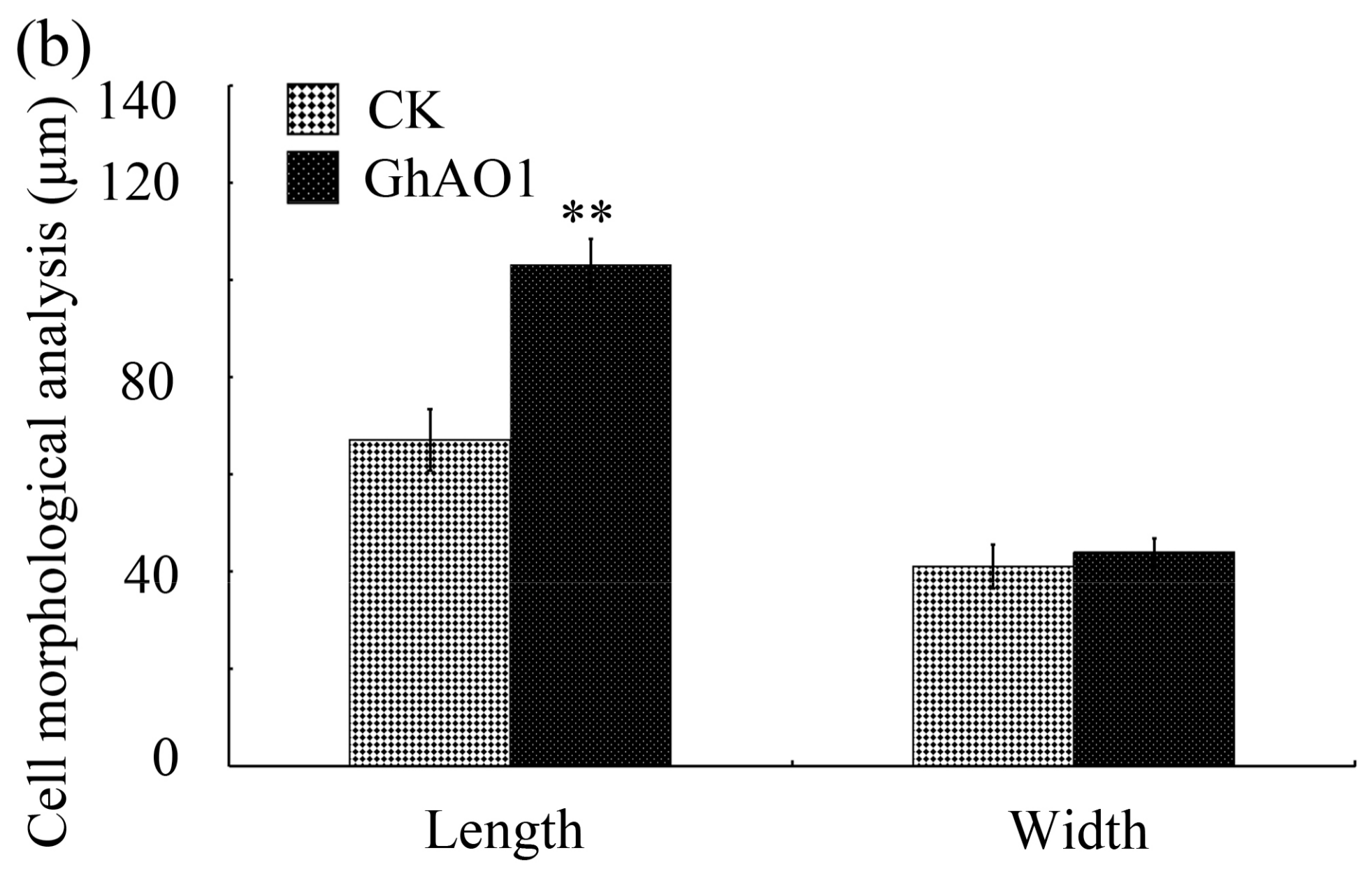 Ijms 18 01346 g004b 550