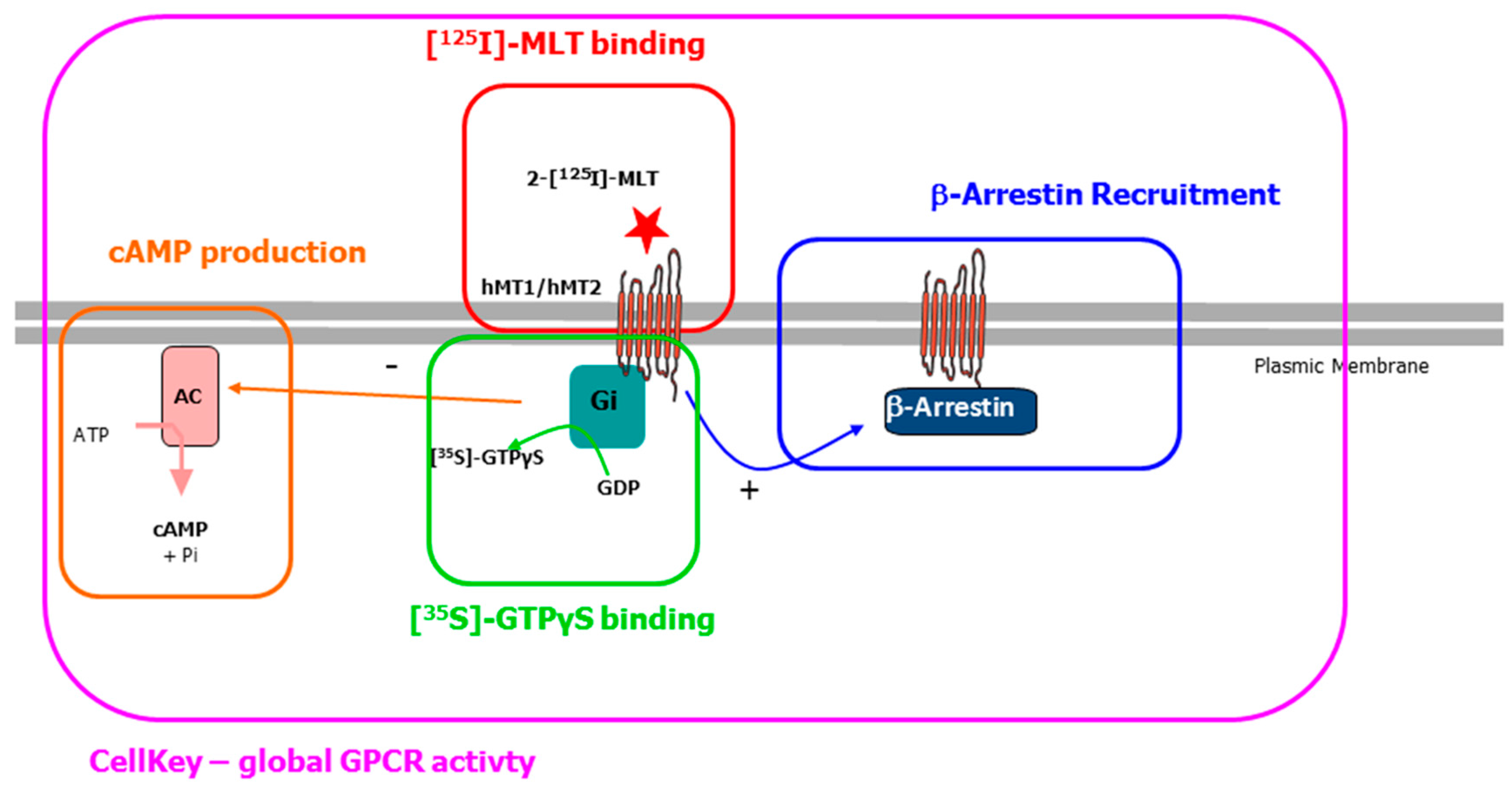 Ijms 18 01347 g002 550