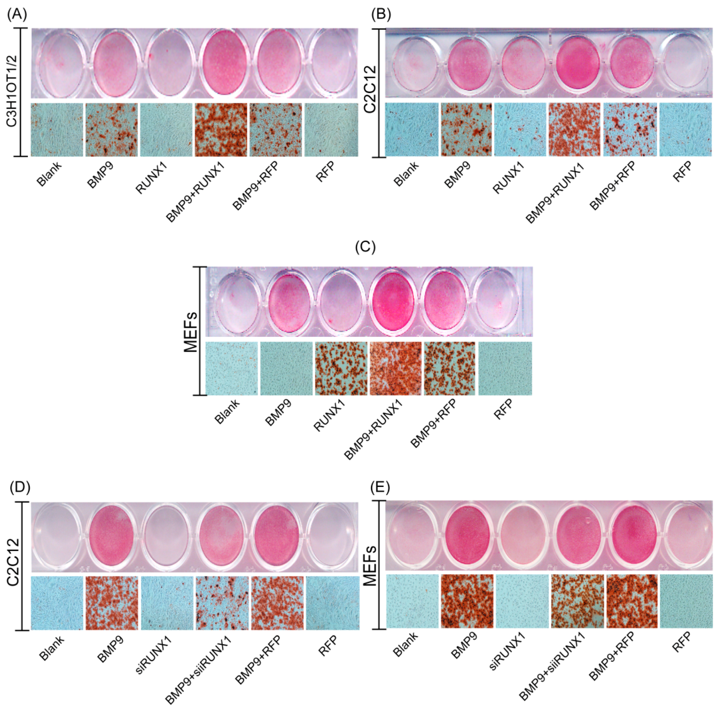 Ijms 18 01348 g003 550