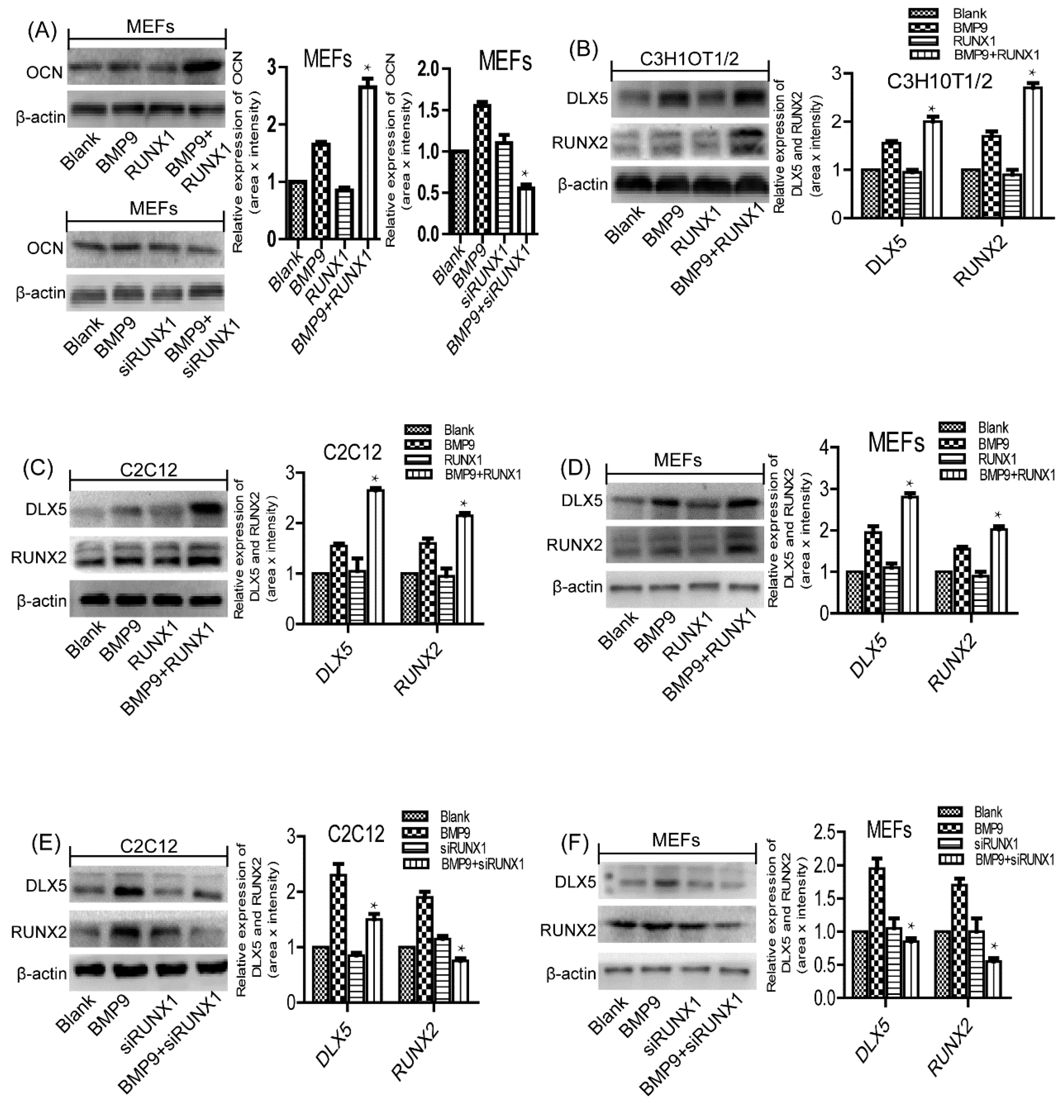 Ijms 18 01348 g005 550
