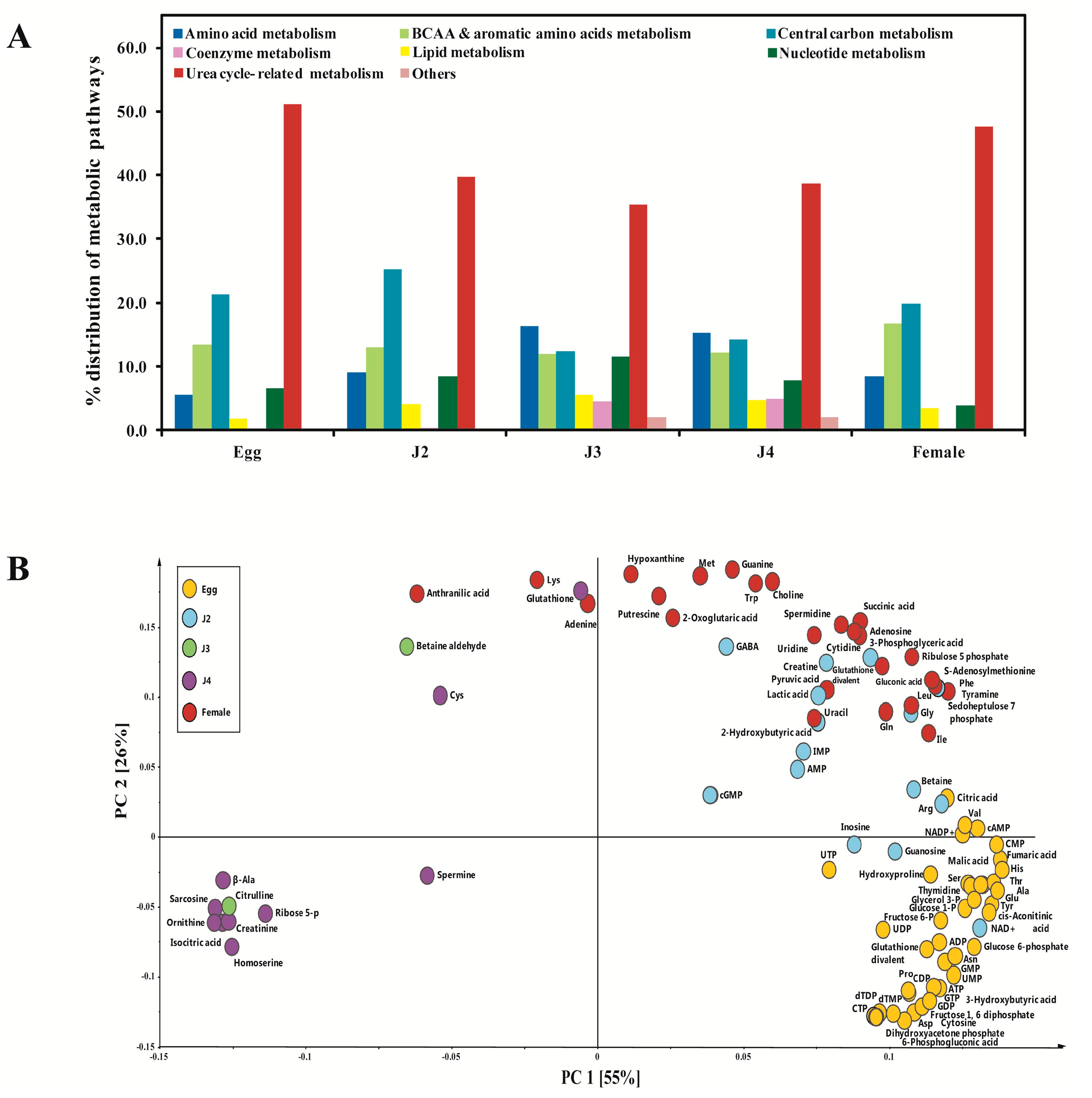 Ijms 18 01351 g001 550