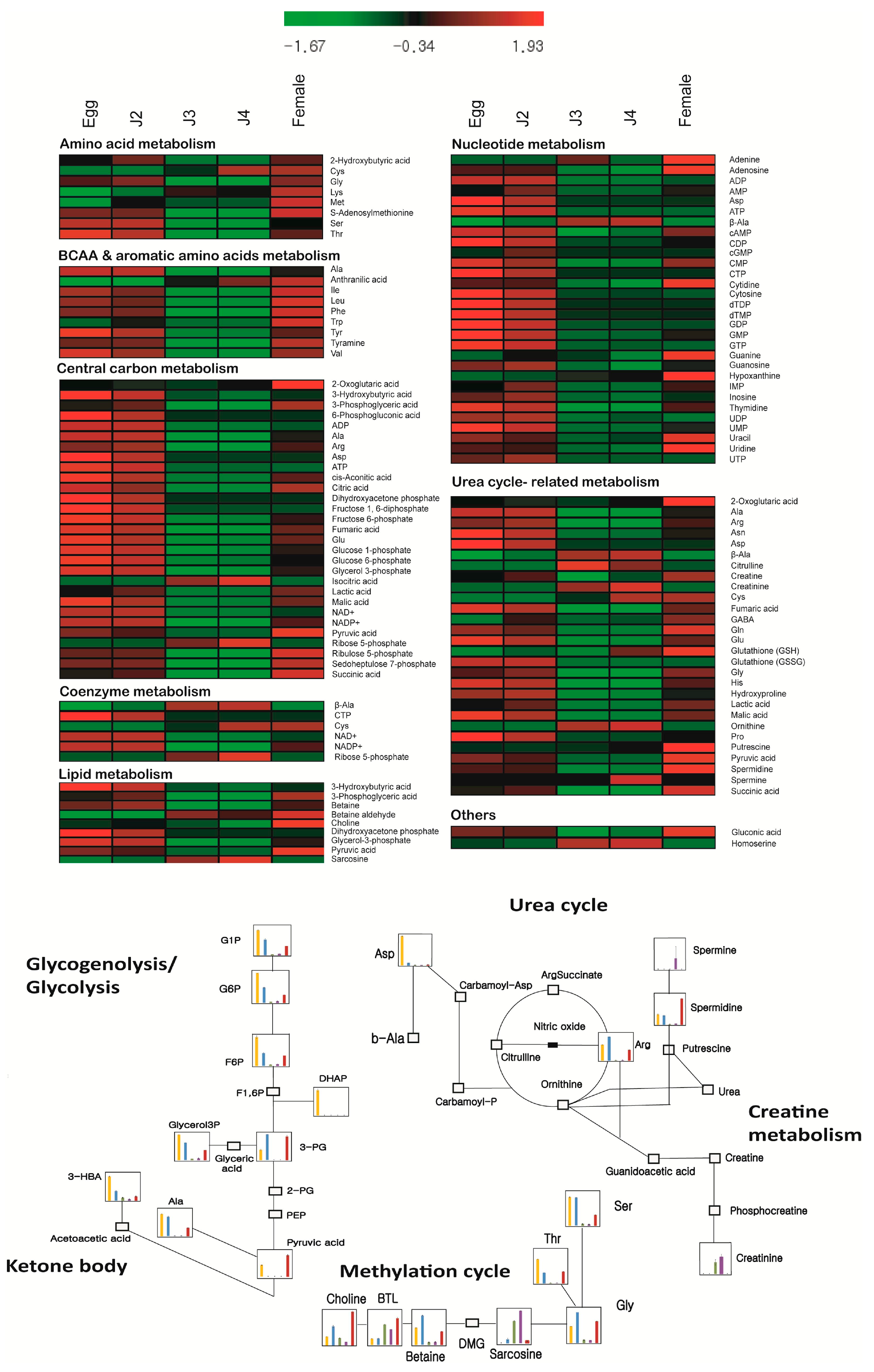 Ijms 18 01351 g002 550
