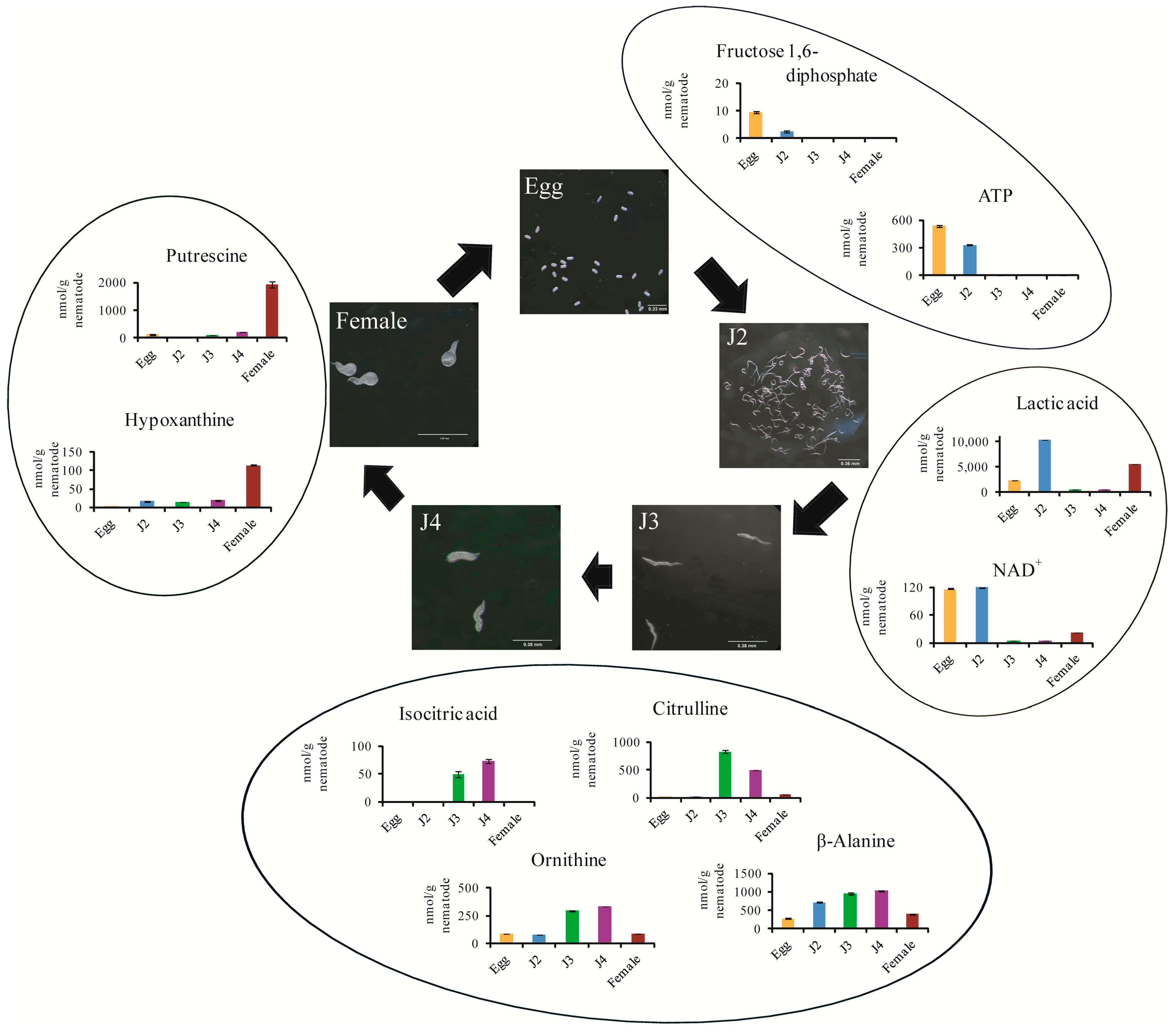 Ijms 18 01351 g003 550