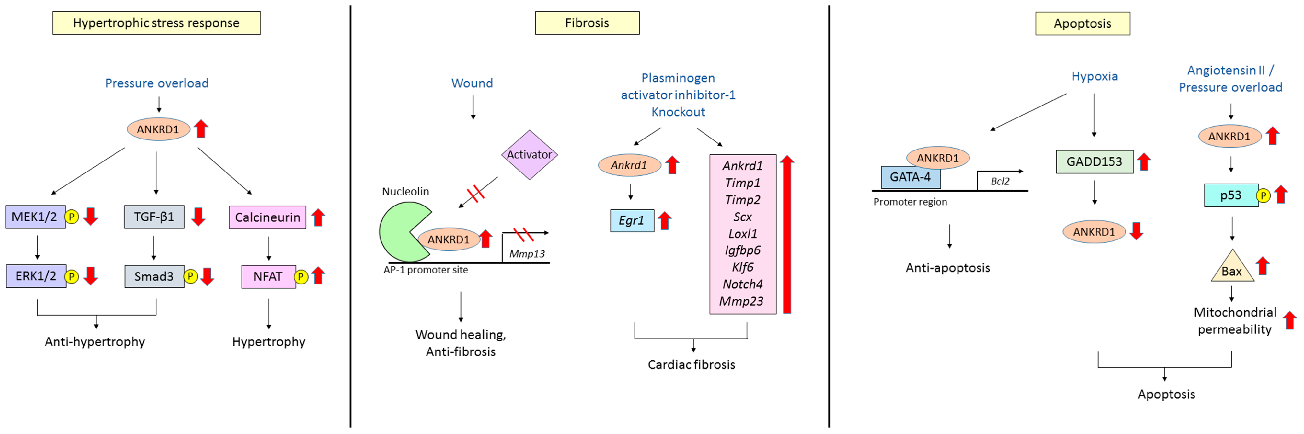 Ijms 18 01362 g003 550