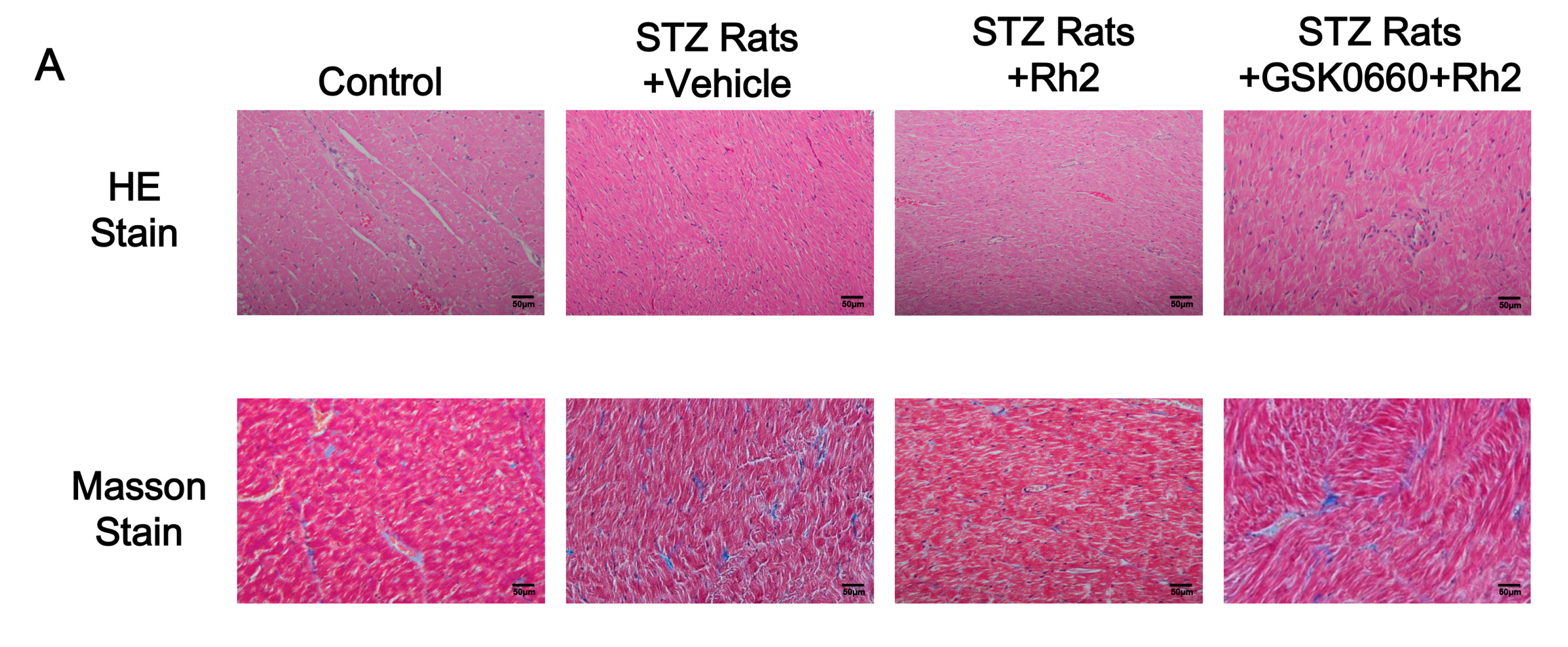 Ijms 18 01364 g001a 550