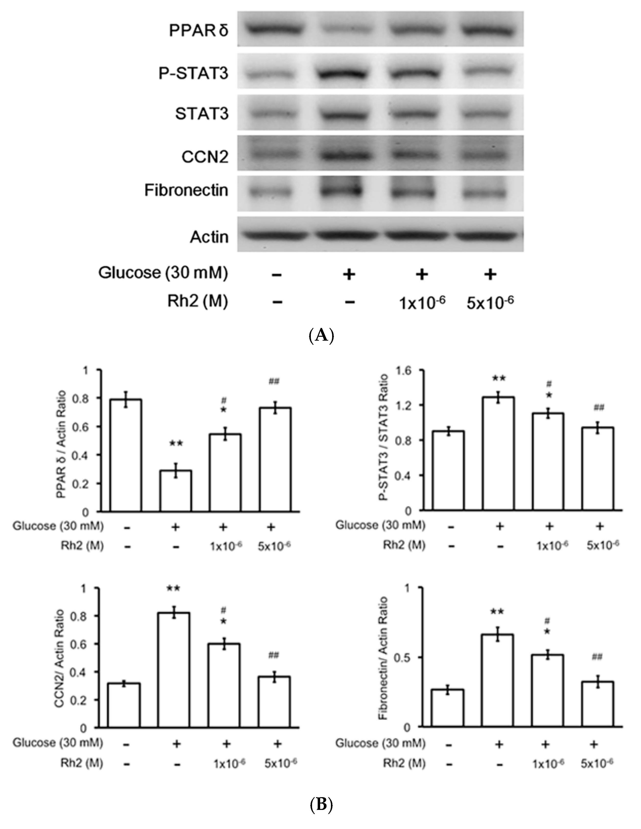 Ijms 18 01364 g003a 550