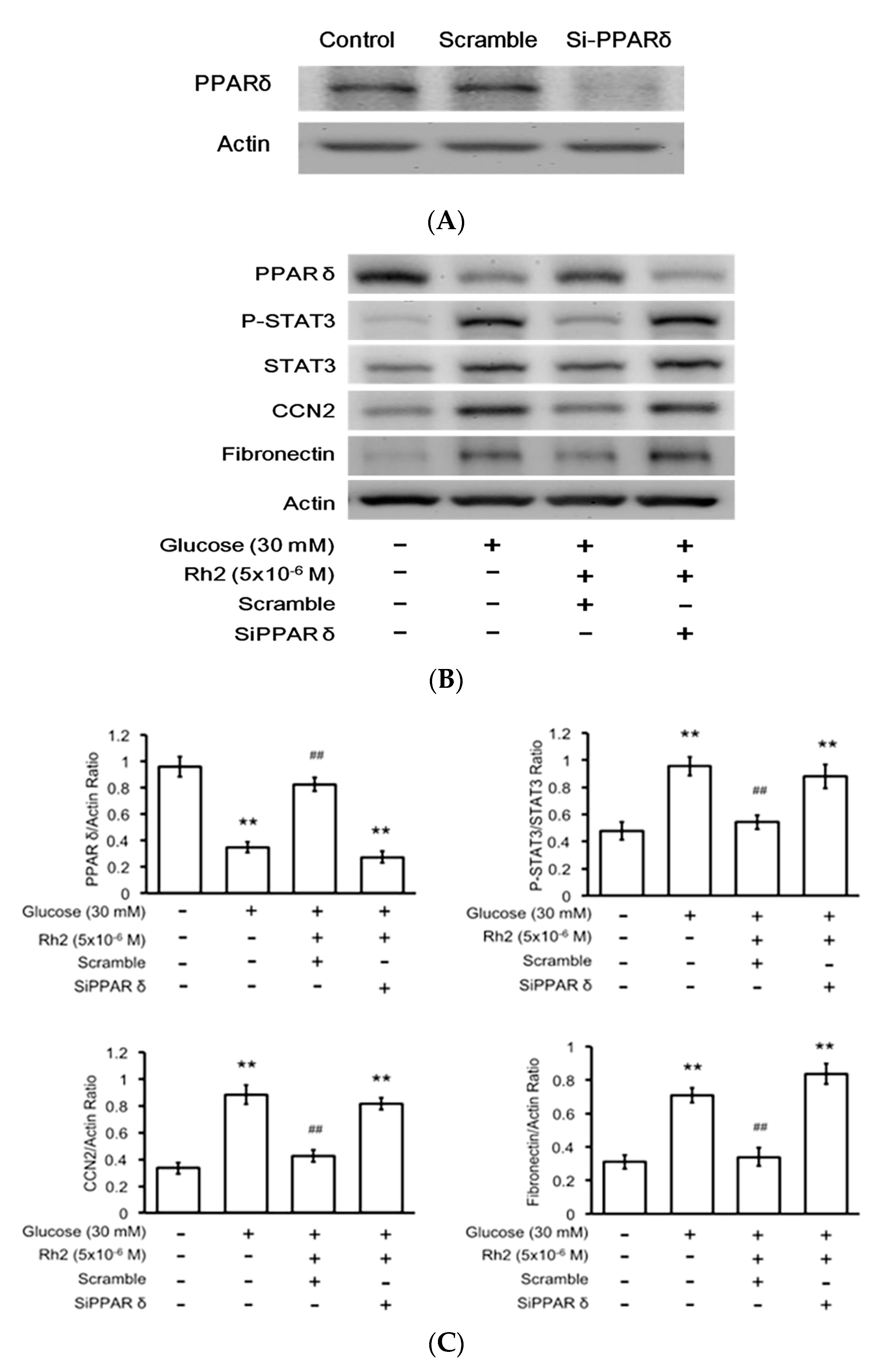 Ijms 18 01364 g005a 550