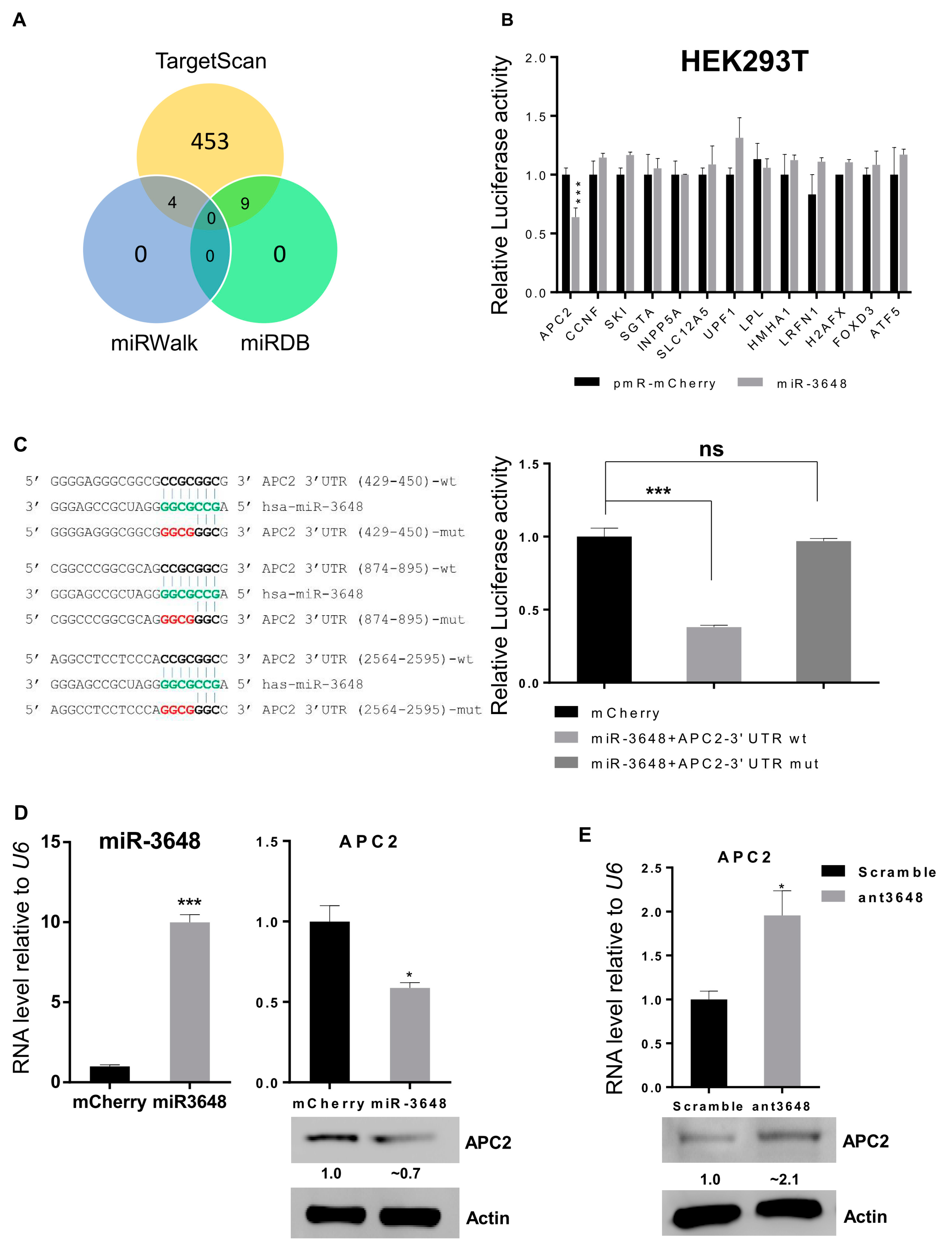 Ijms 18 01375 g003 550