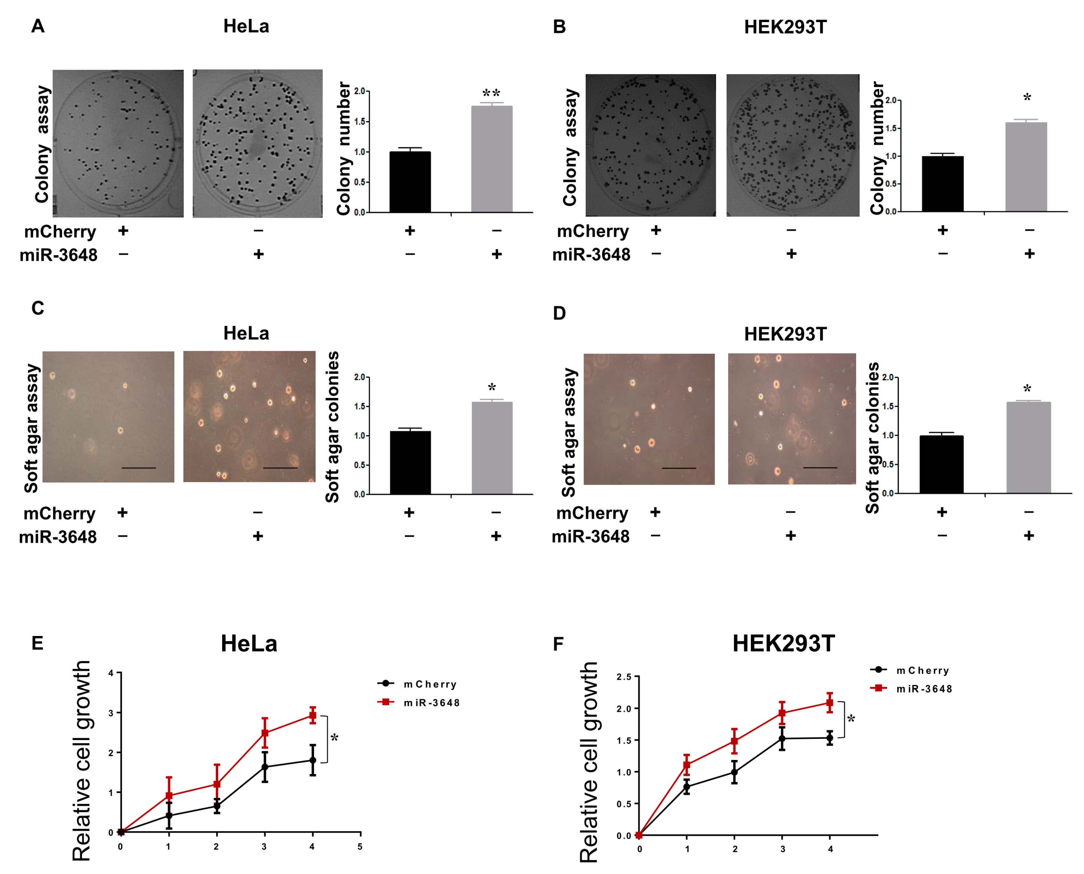 Ijms 18 01375 g005 550