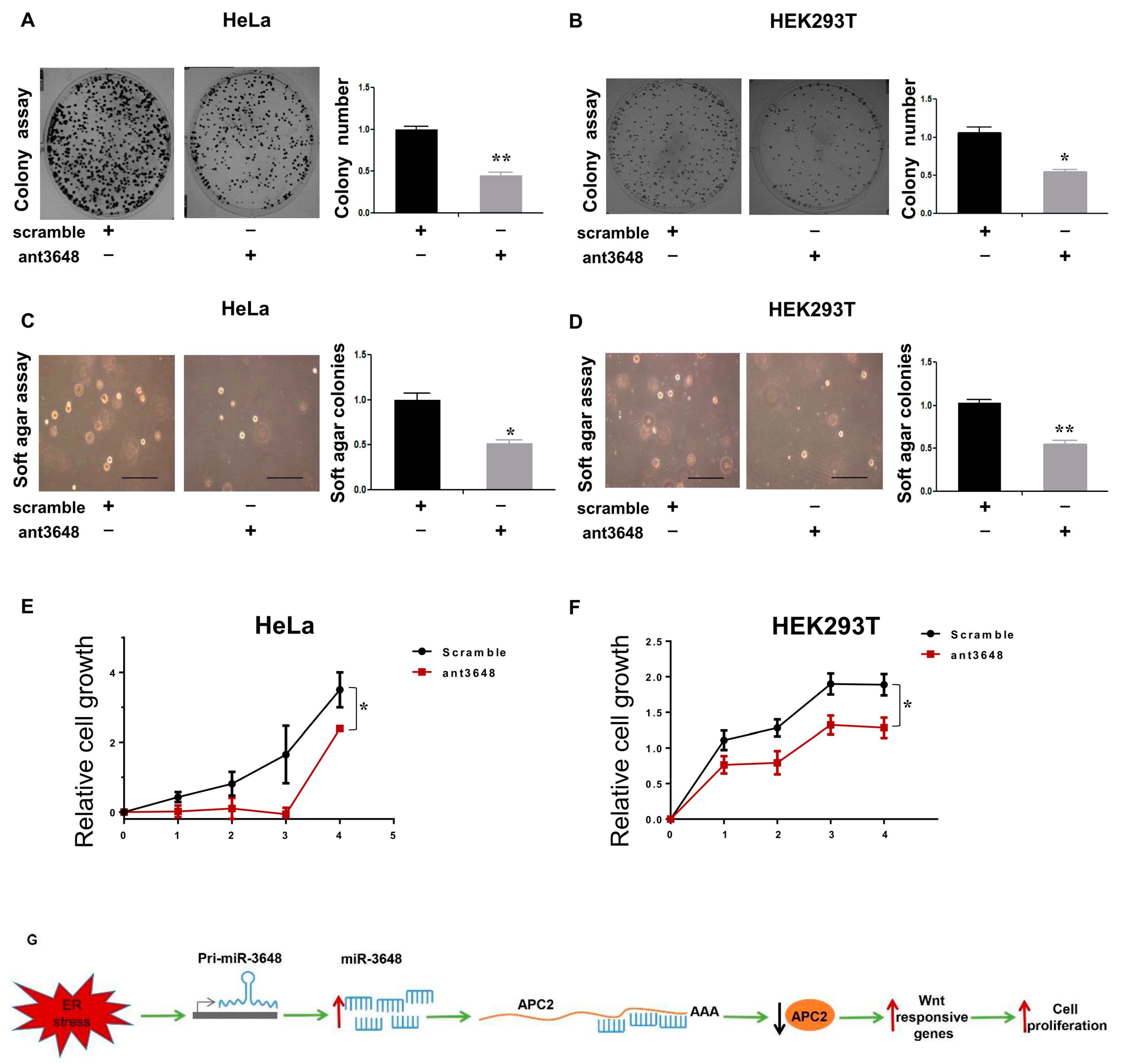 Ijms 18 01375 g006 550