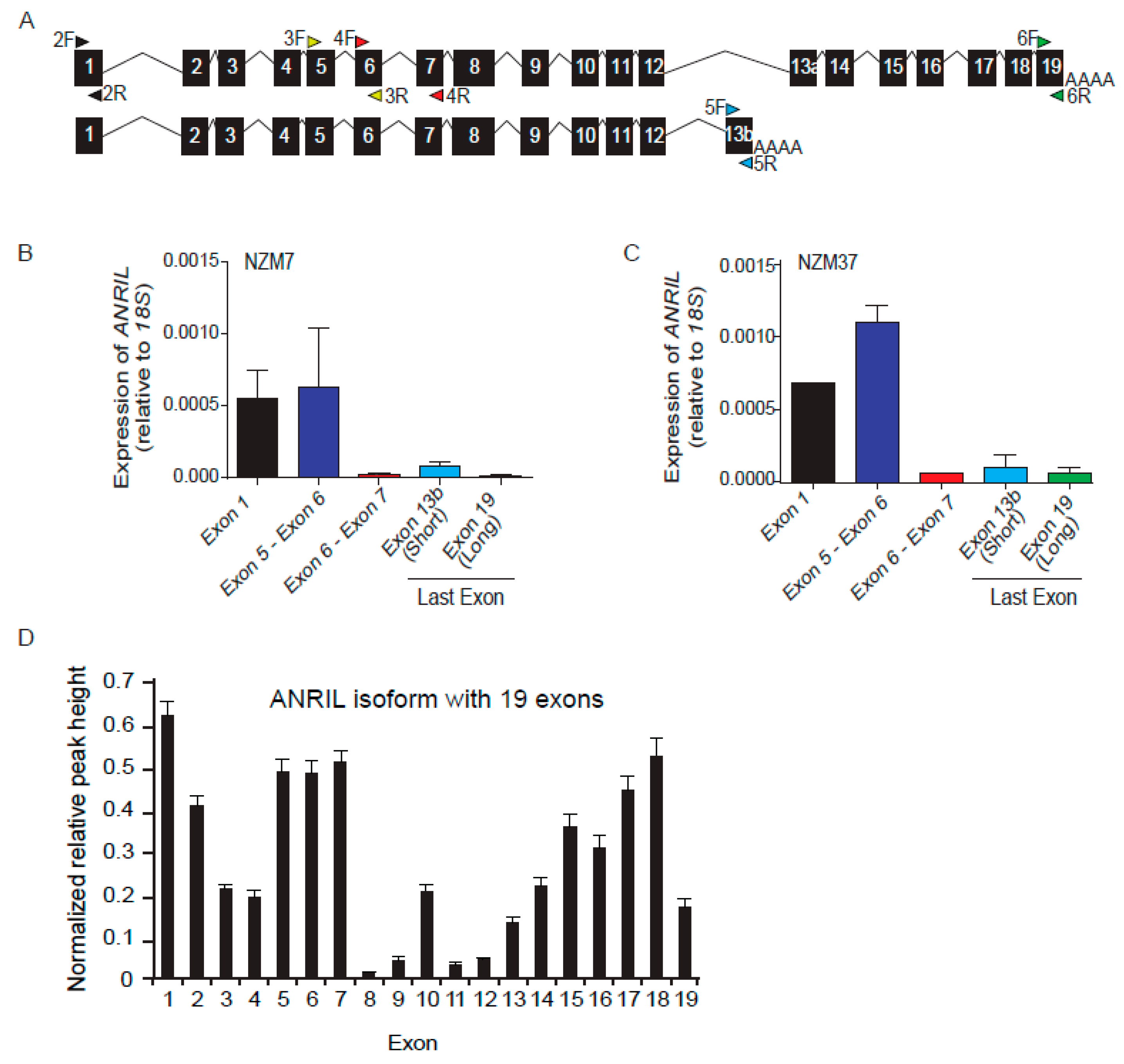 Ijms 18 01378 g001 550