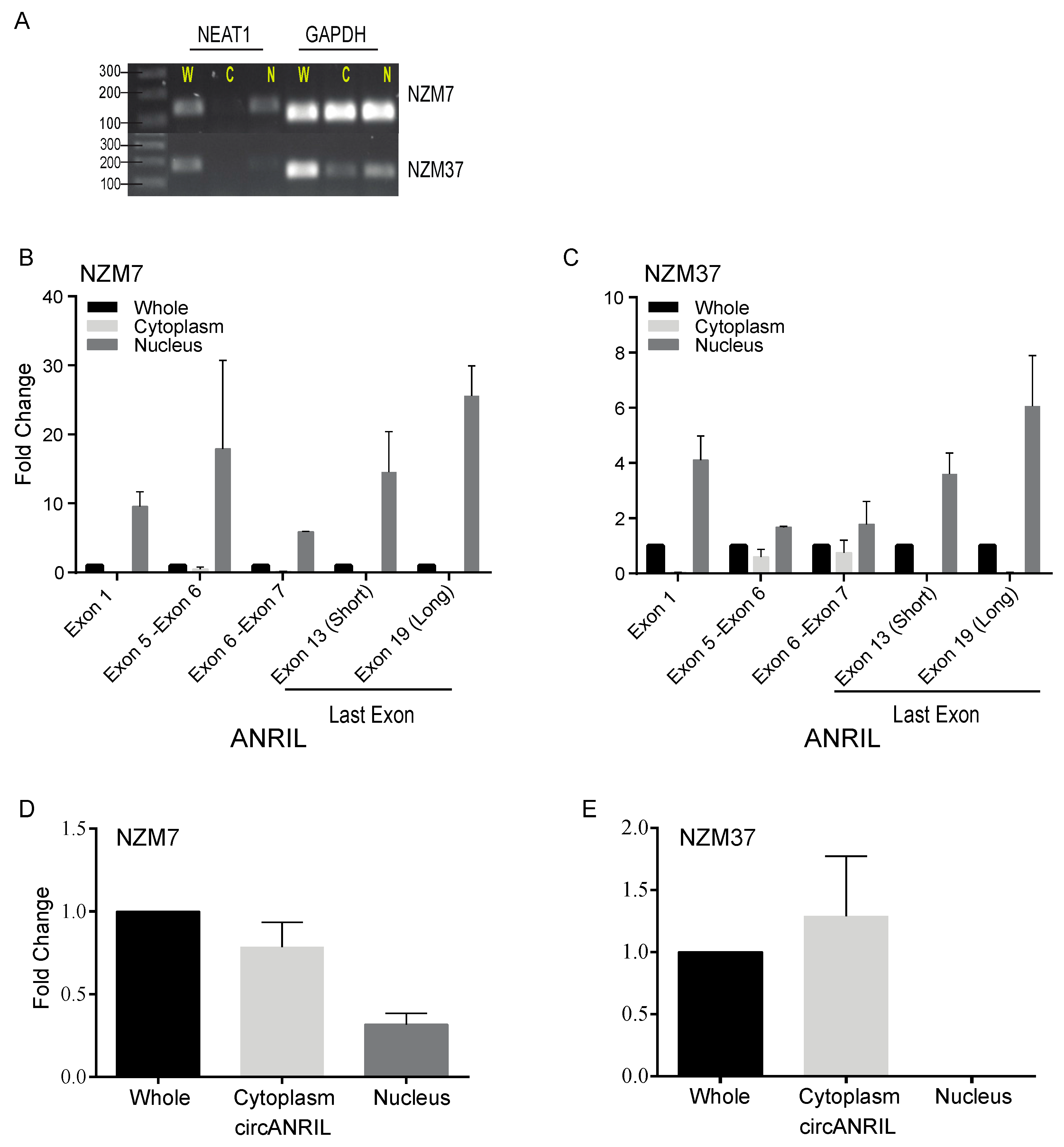 Ijms 18 01378 g004 550