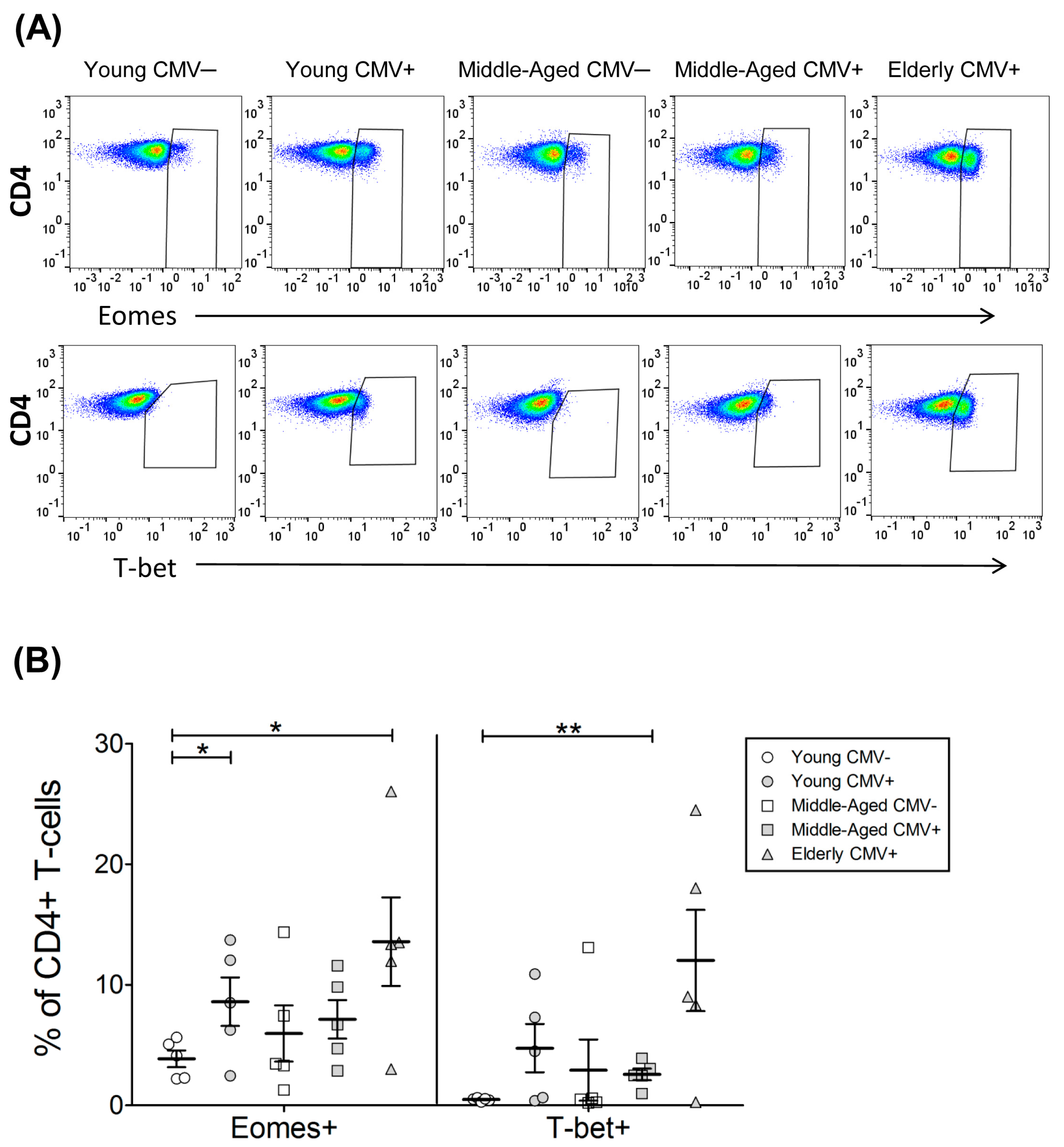 Ijms 18 01391 g002 550
