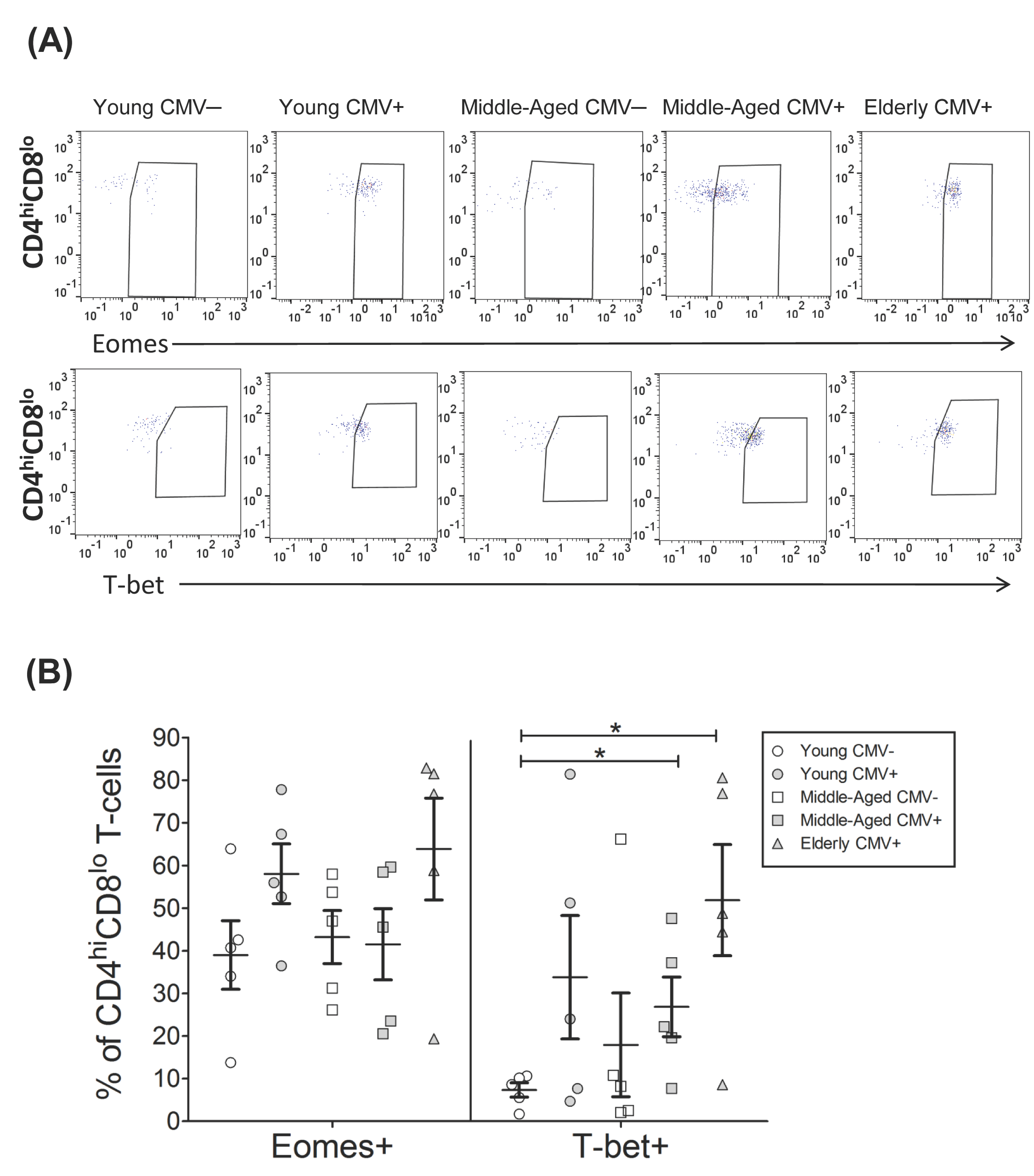 Ijms 18 01391 g004 550