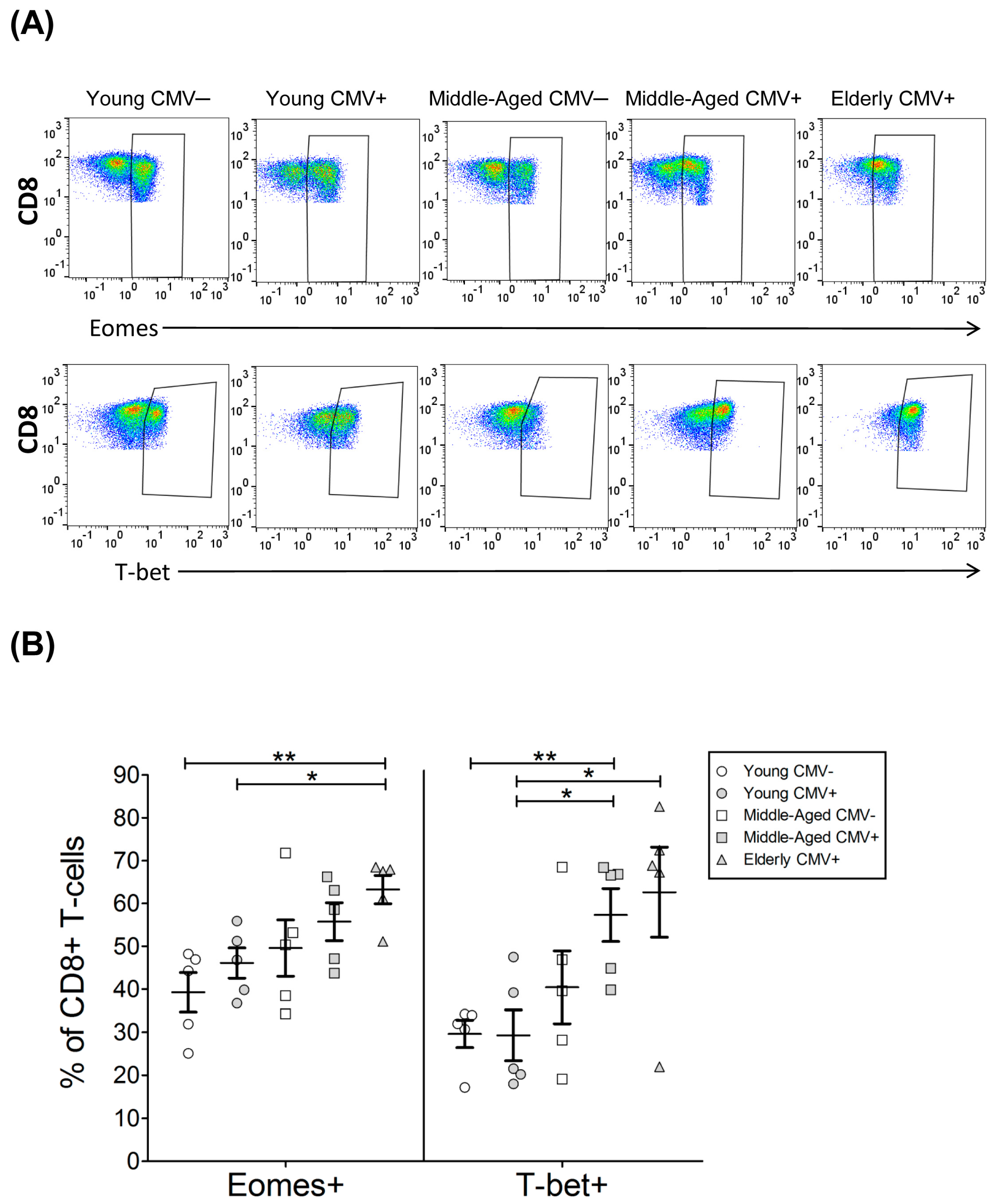 Ijms 18 01391 g006 550